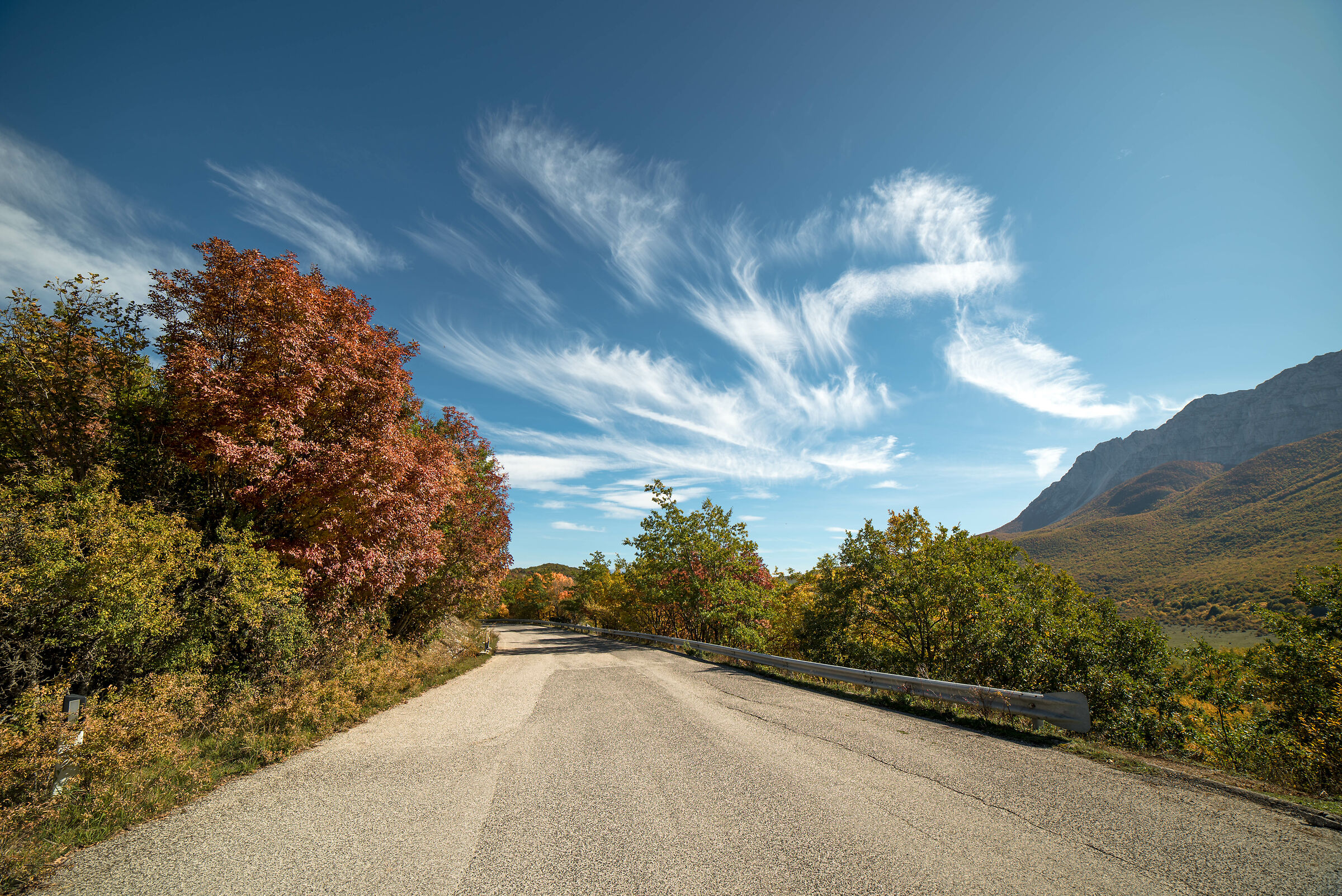 Foliage to Secinaro 2