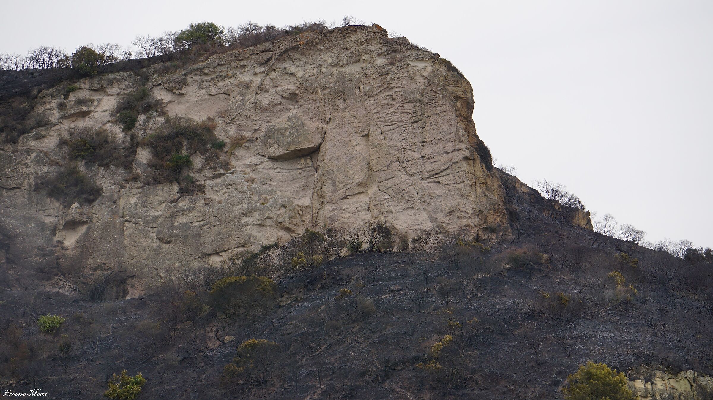 the Deep Pain of Mount Furru