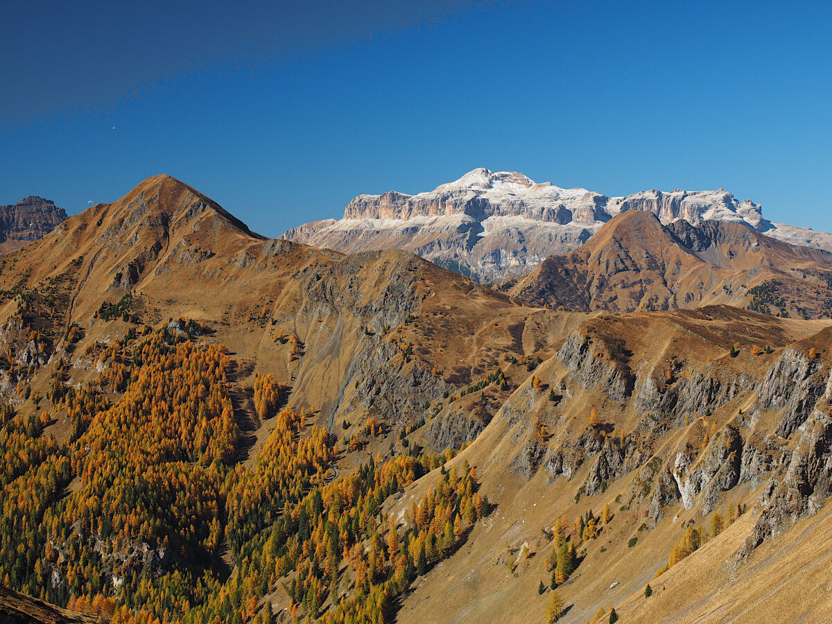 At the bottom of the Saddle