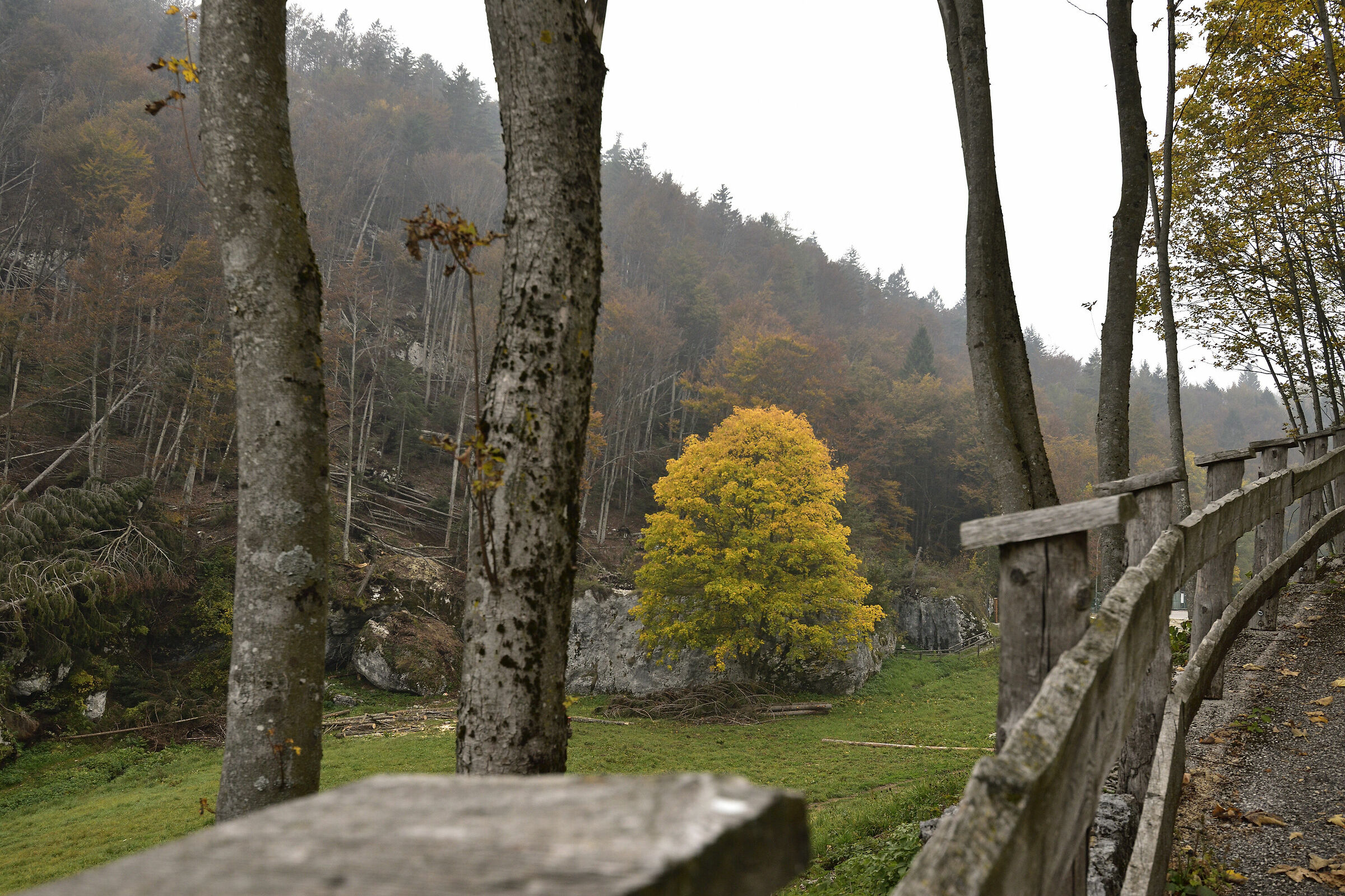 Caduti