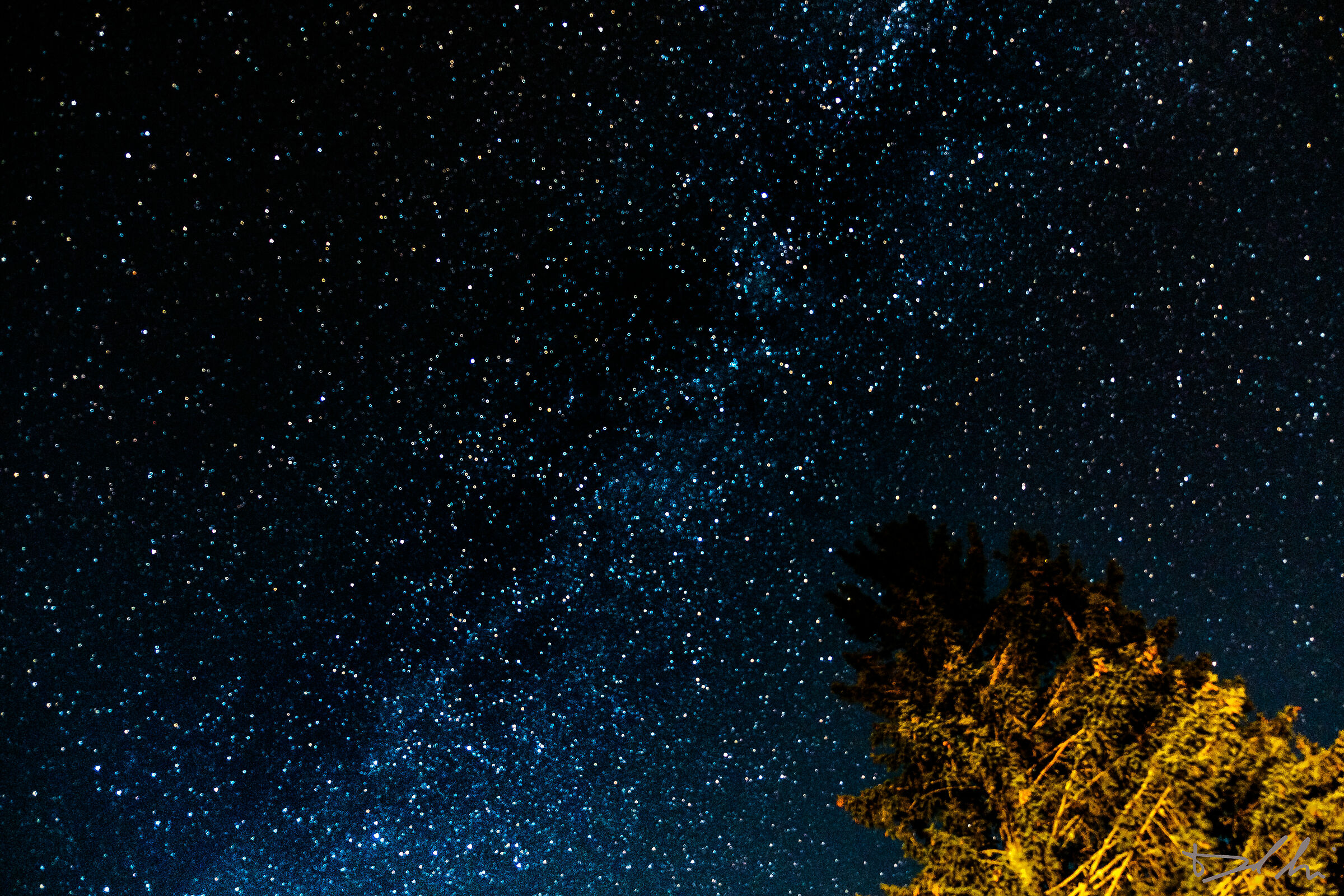 Via Lattea sulla Val di Rabbi
