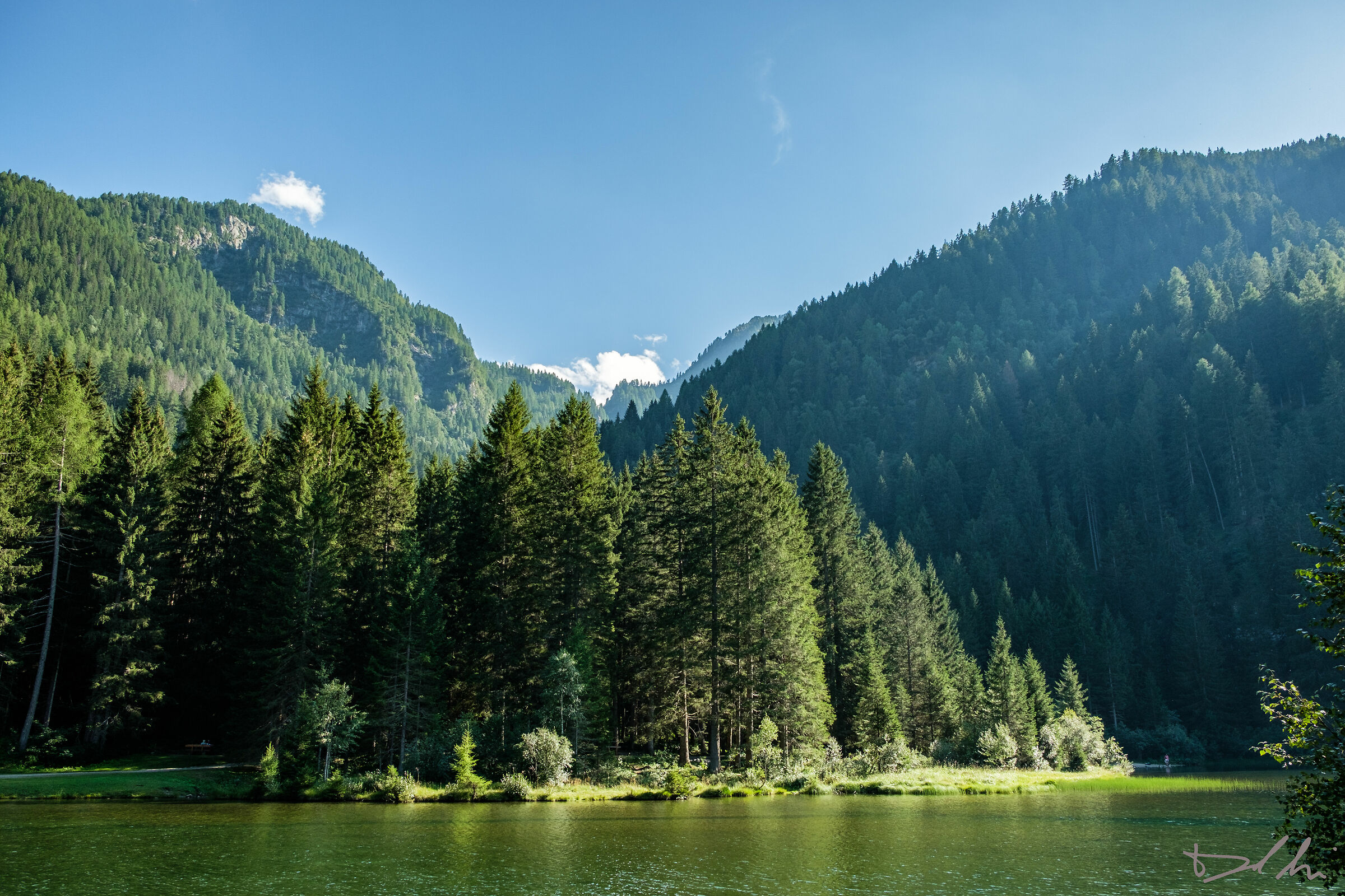 Lago dei caprioli