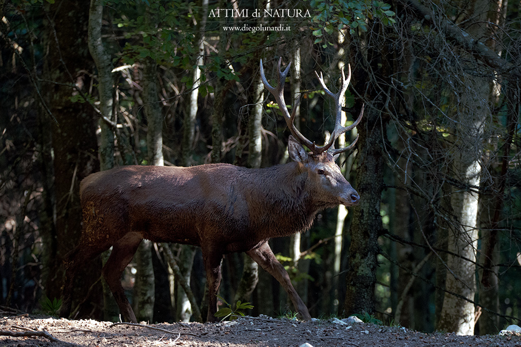 Così vicino da sentire il suo respiro.