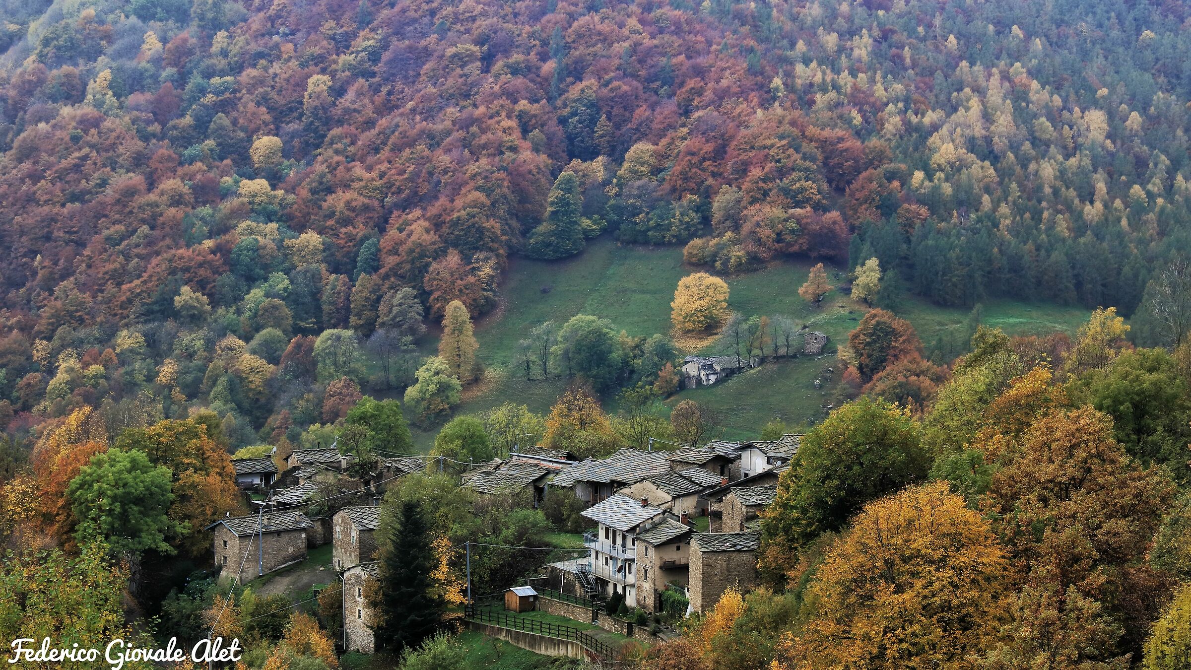 Foliage in the Valley of the Indiritto