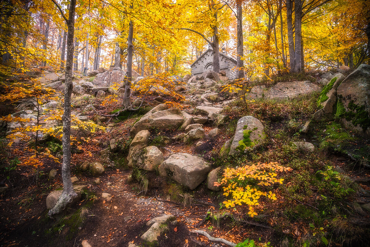 The church in yellow