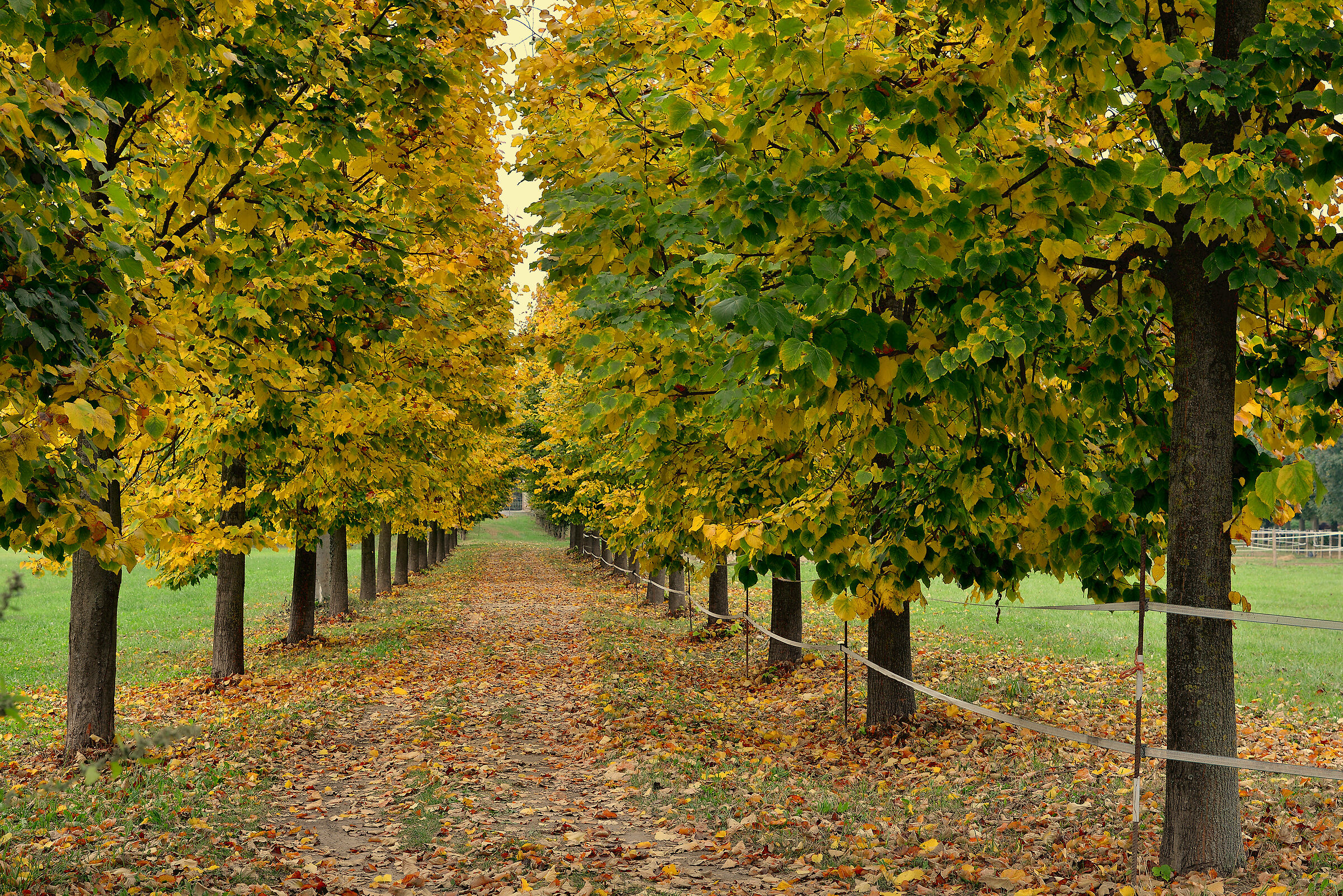 Autumn is just around the corner...