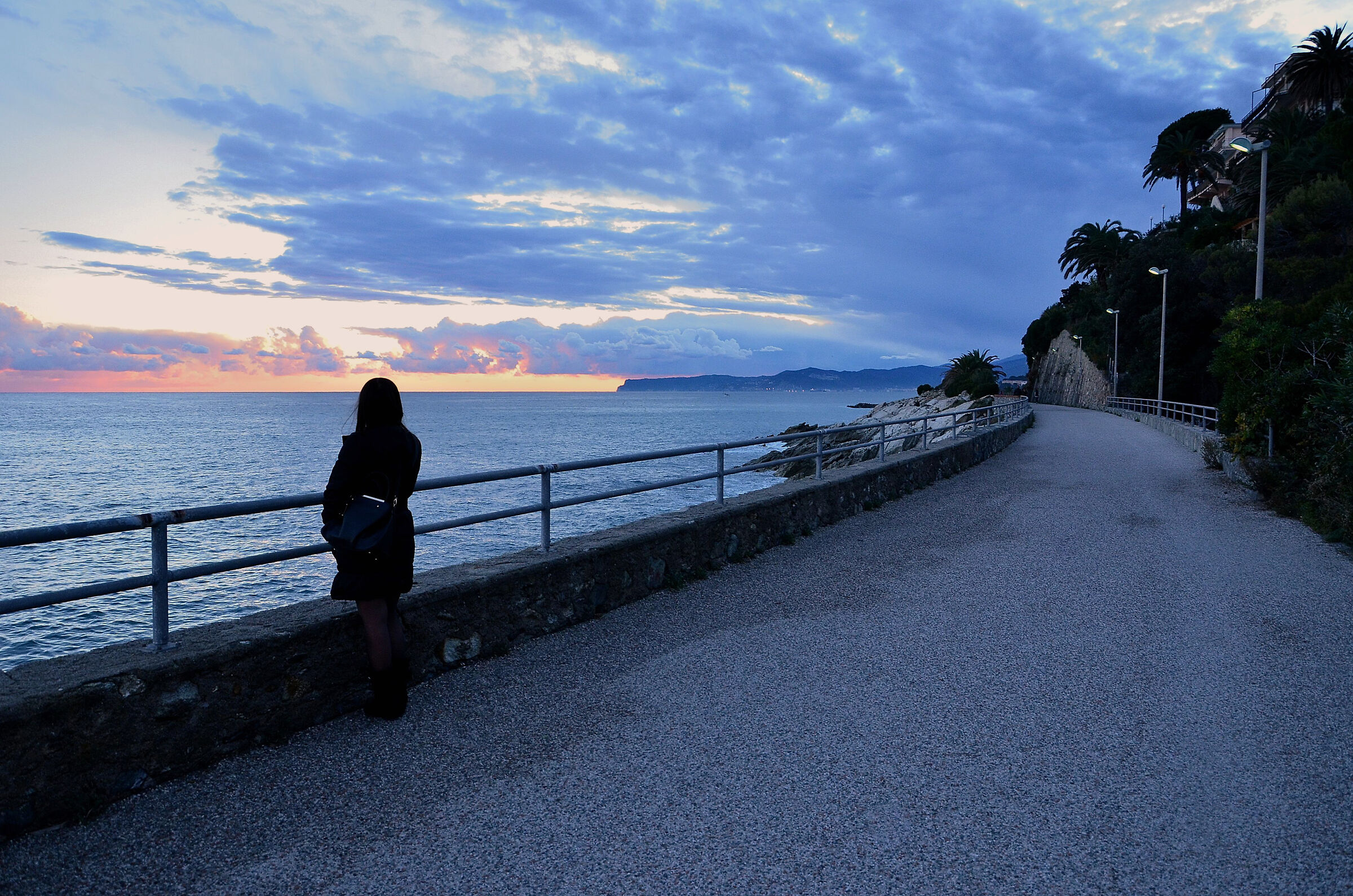 Contemplating the sunset