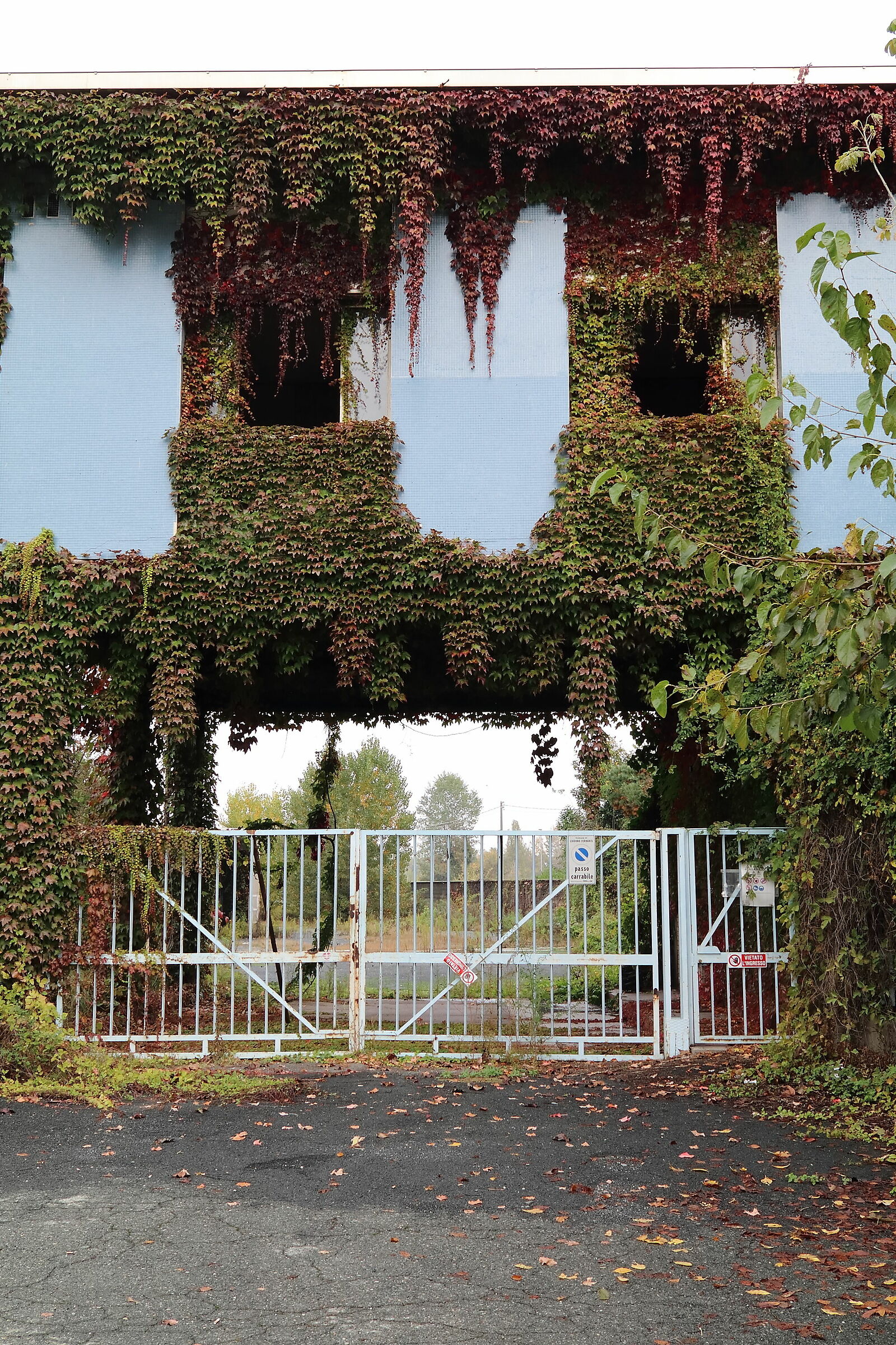 Pareidolia.