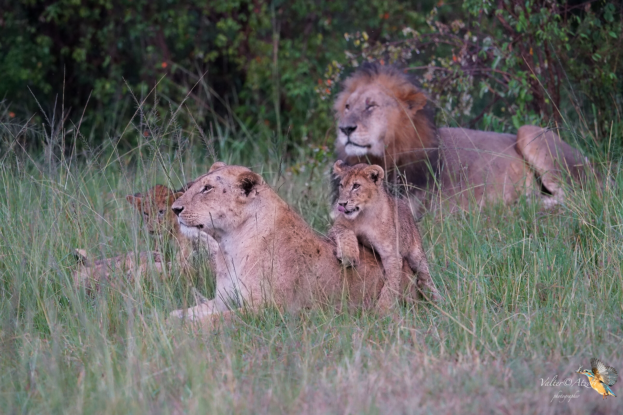 And he obedient went to his mother's