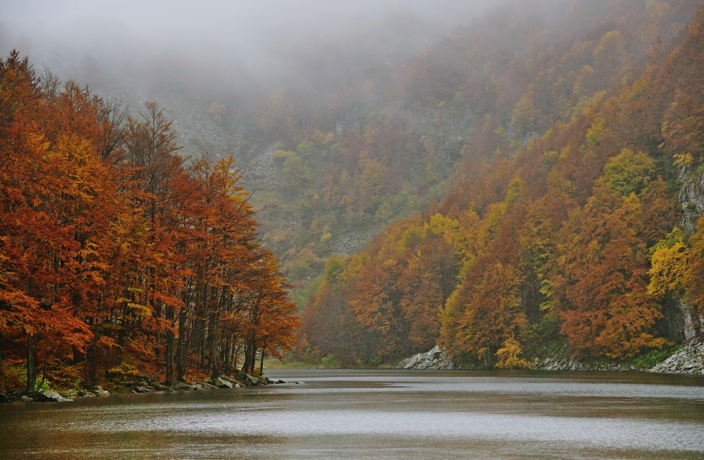 il lago & l'autunno
