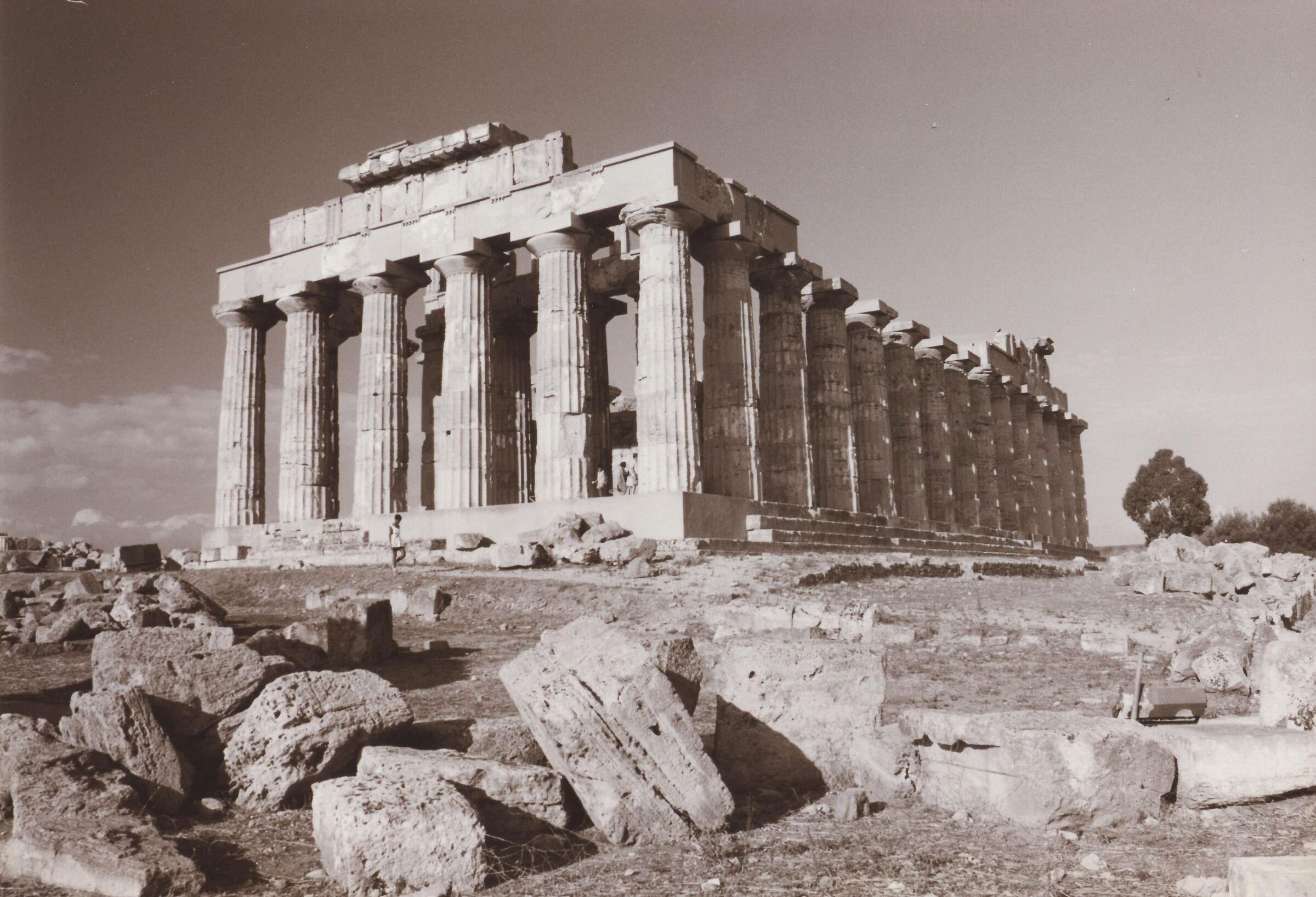 Valle dei templi Selinunte