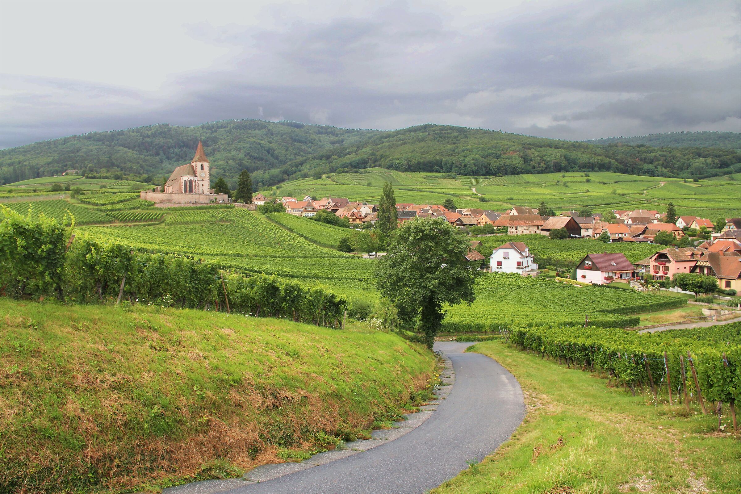 Alsace - Wine Road