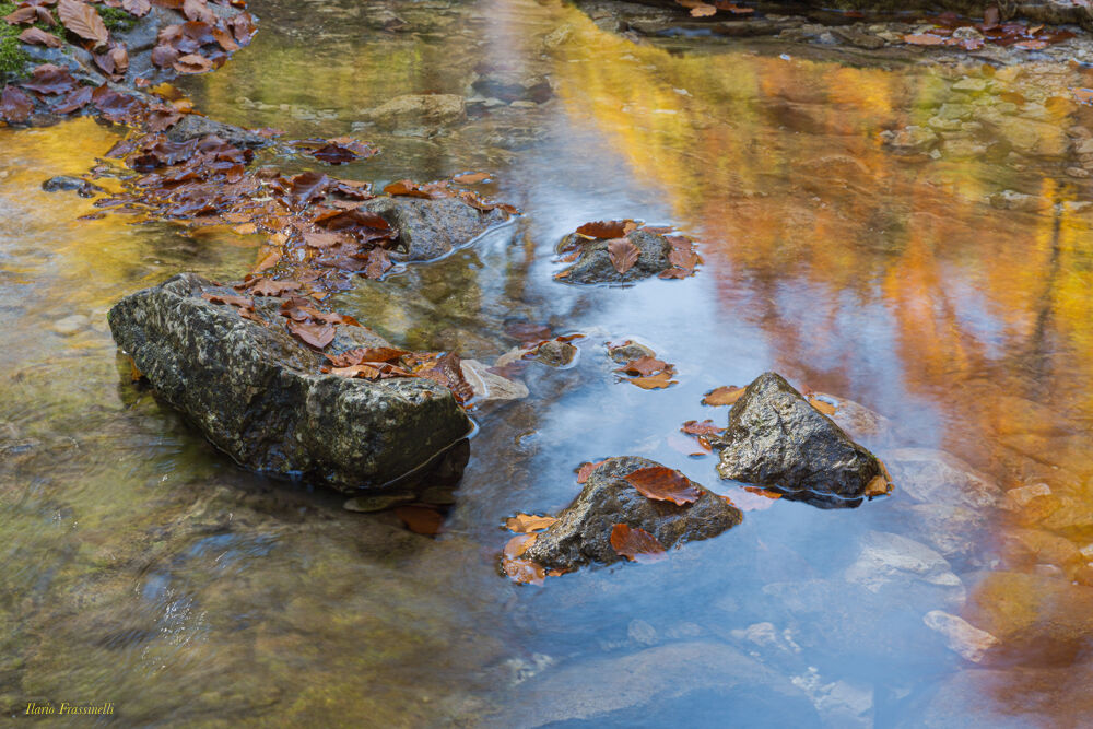 Il magico autunno della Val d'Arzino