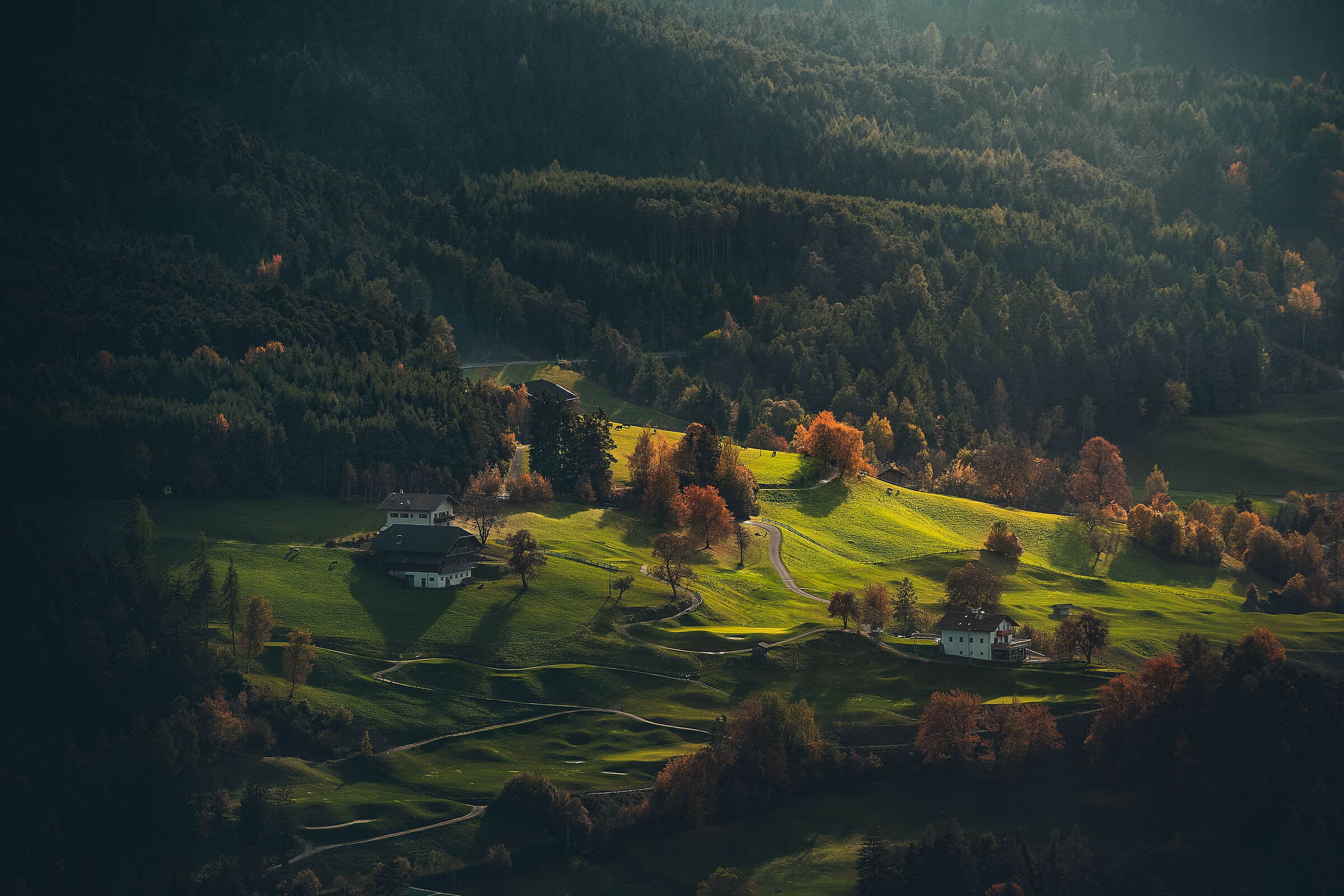 I colori magici dell'autunno