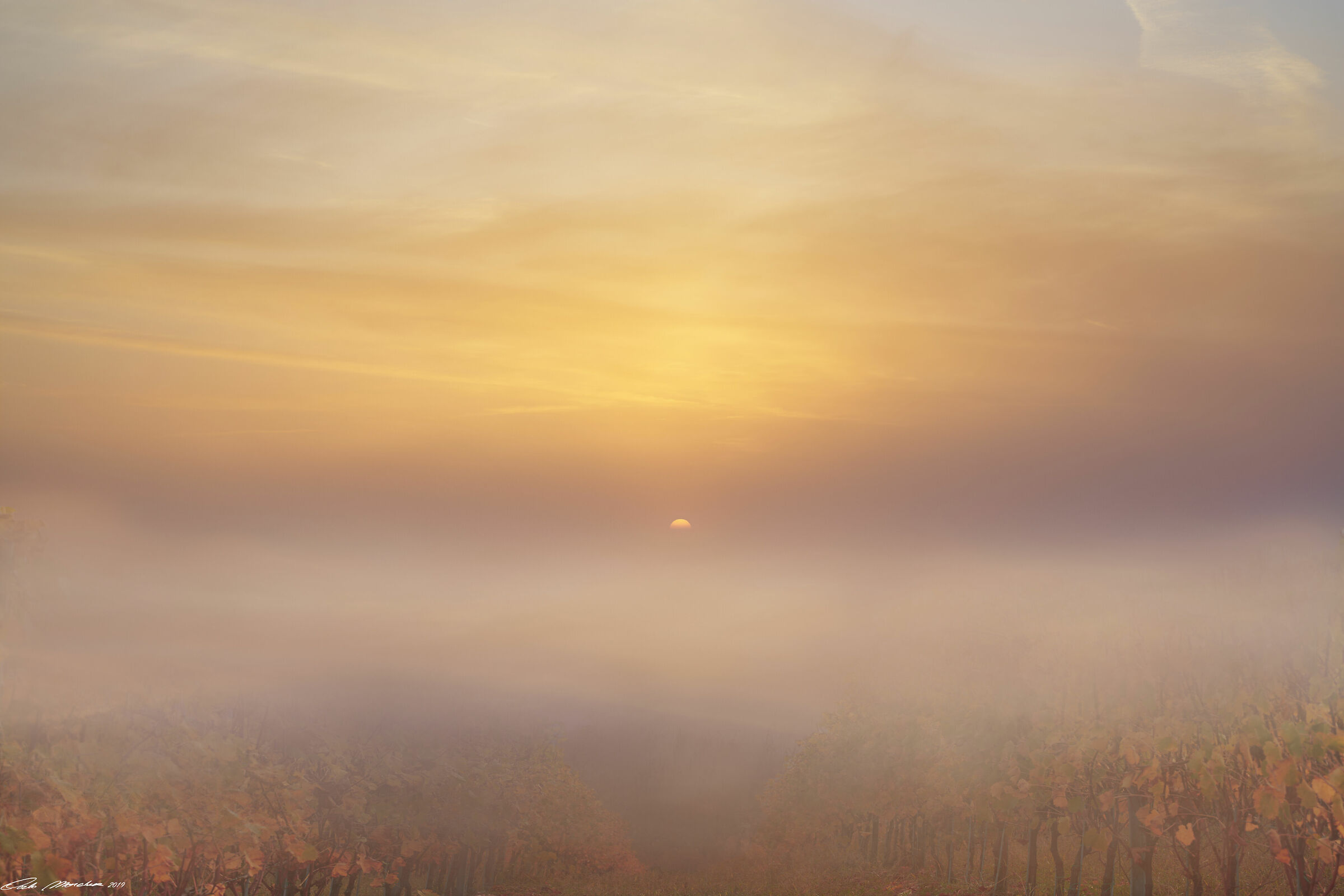I colori della nebbia
