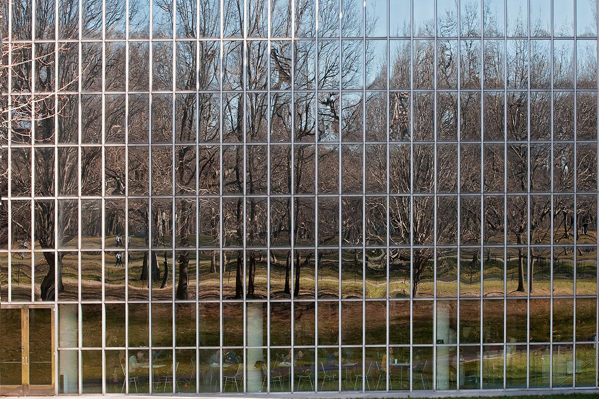 Reflections in Central Park