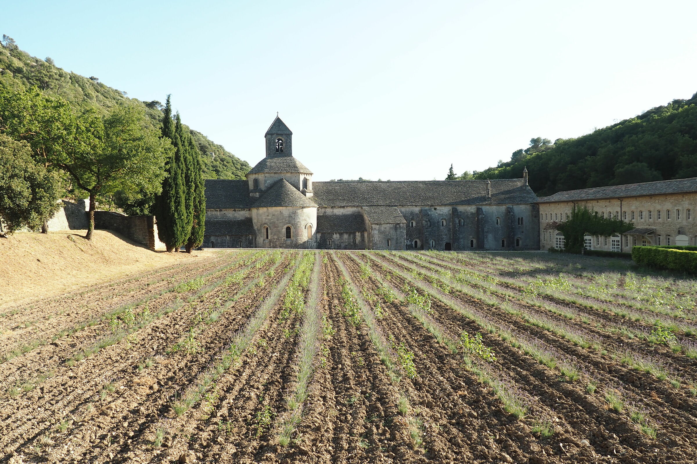 Abbazia di Senanque