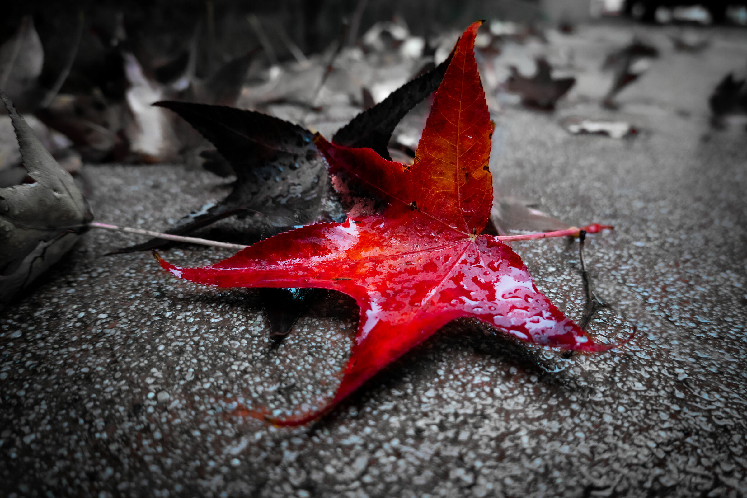 the charm of autumn