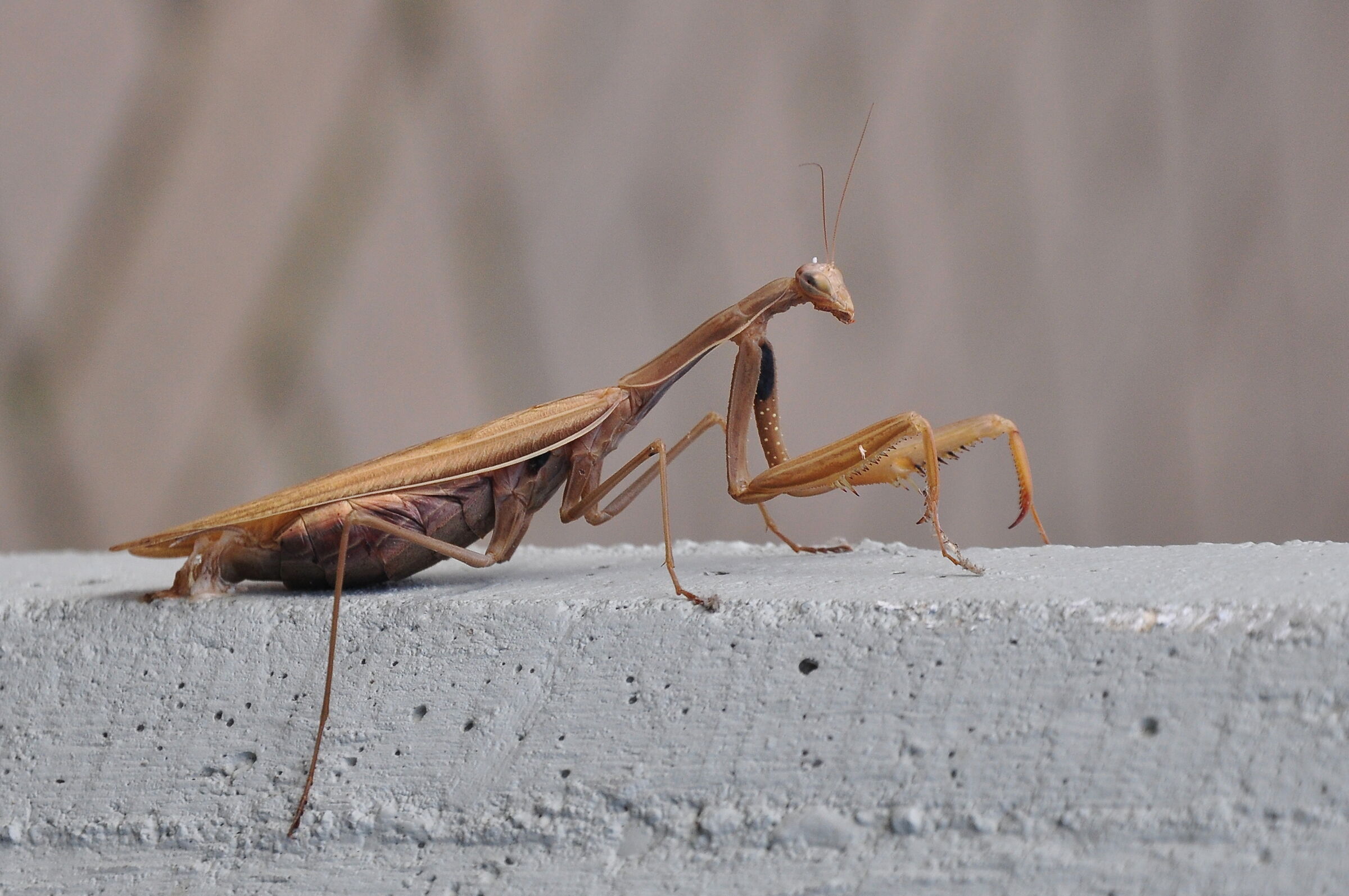 when you least expect it