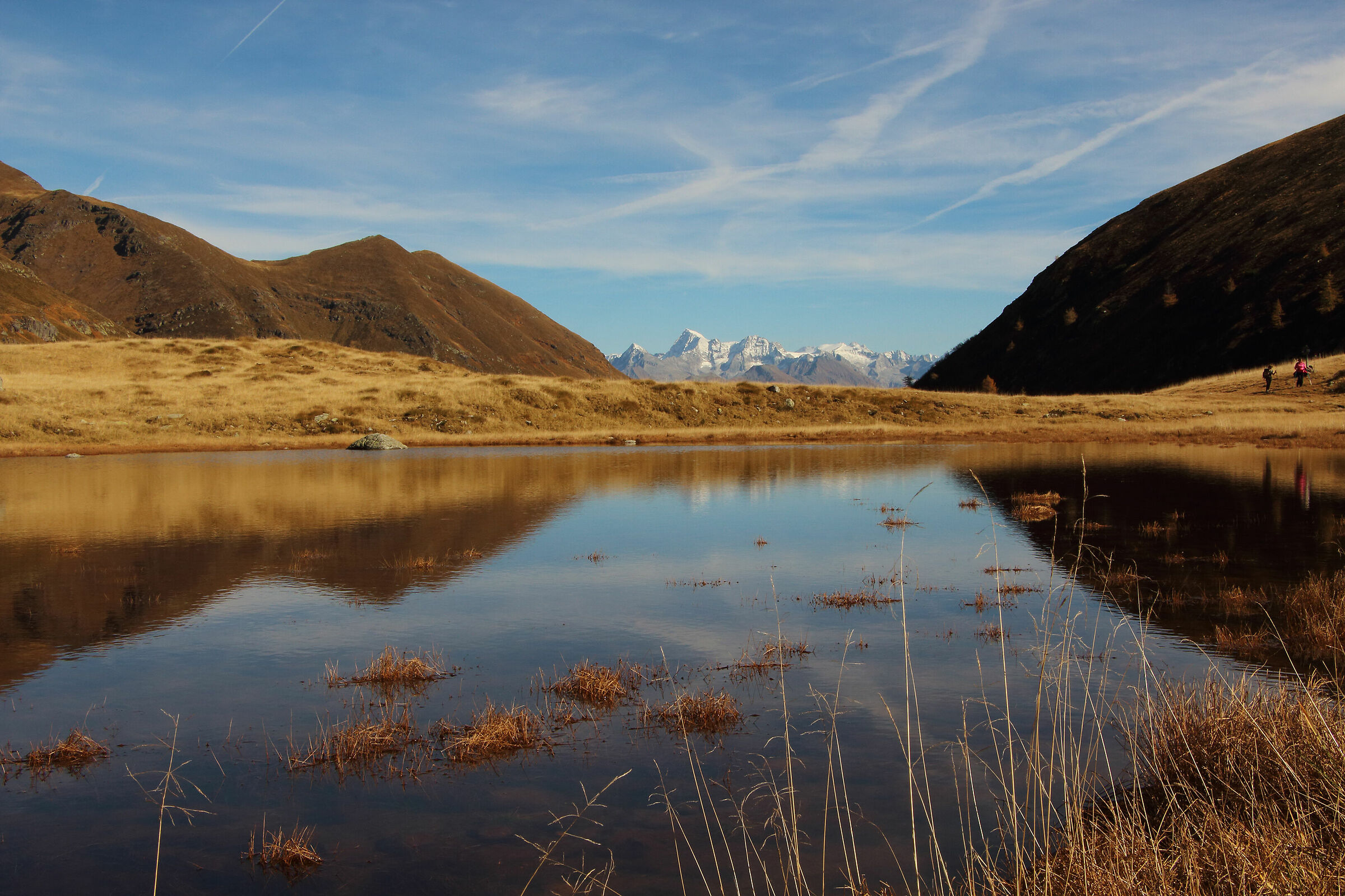 il profilo dell'Adamello