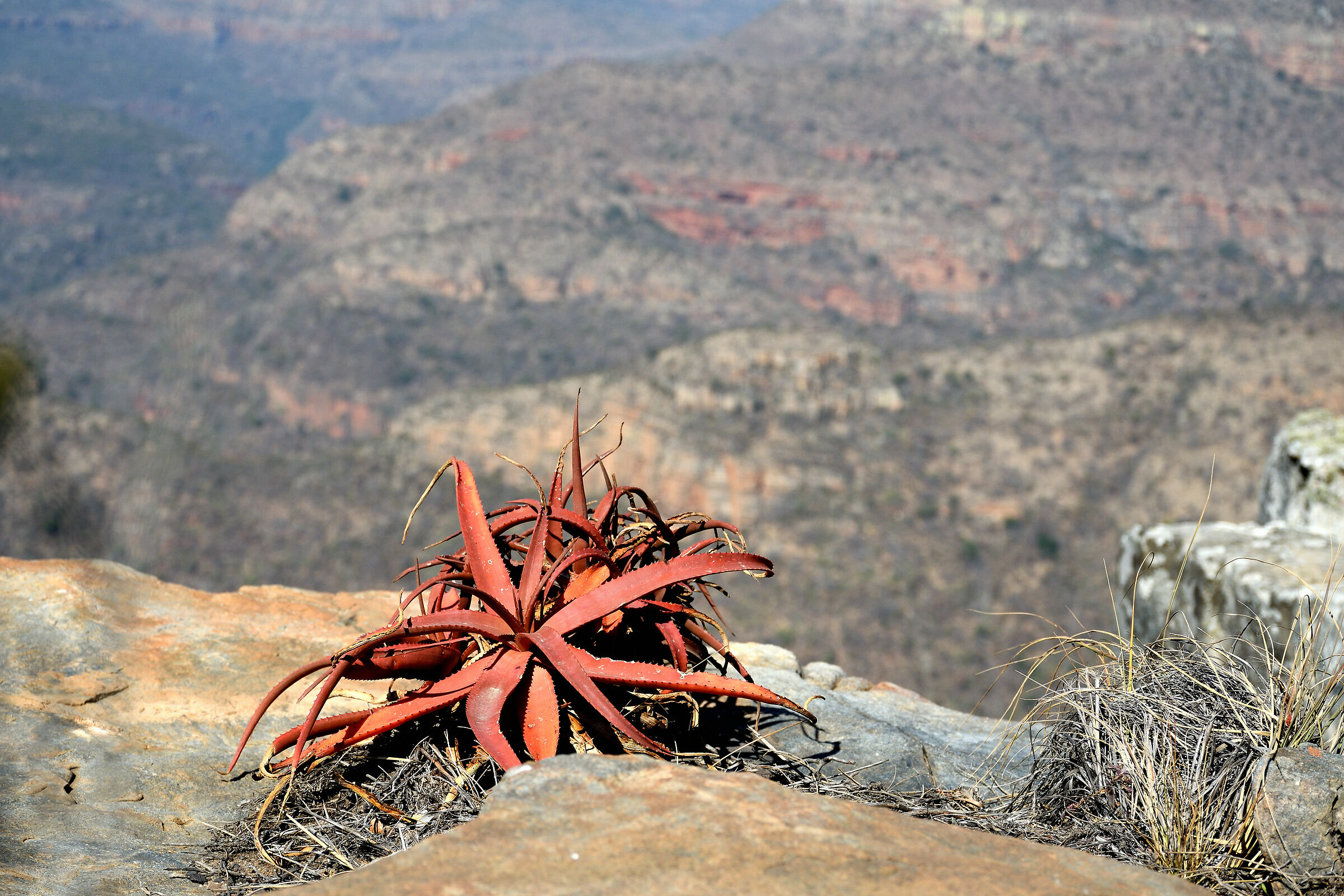 Blyde River Canyon, New