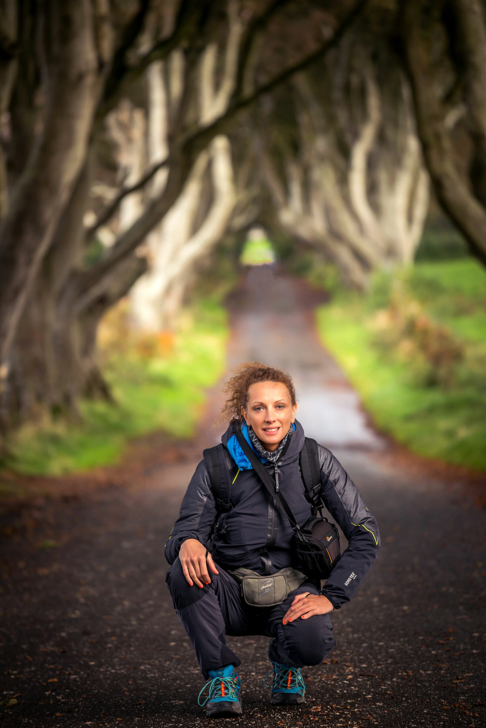Dark Hedges