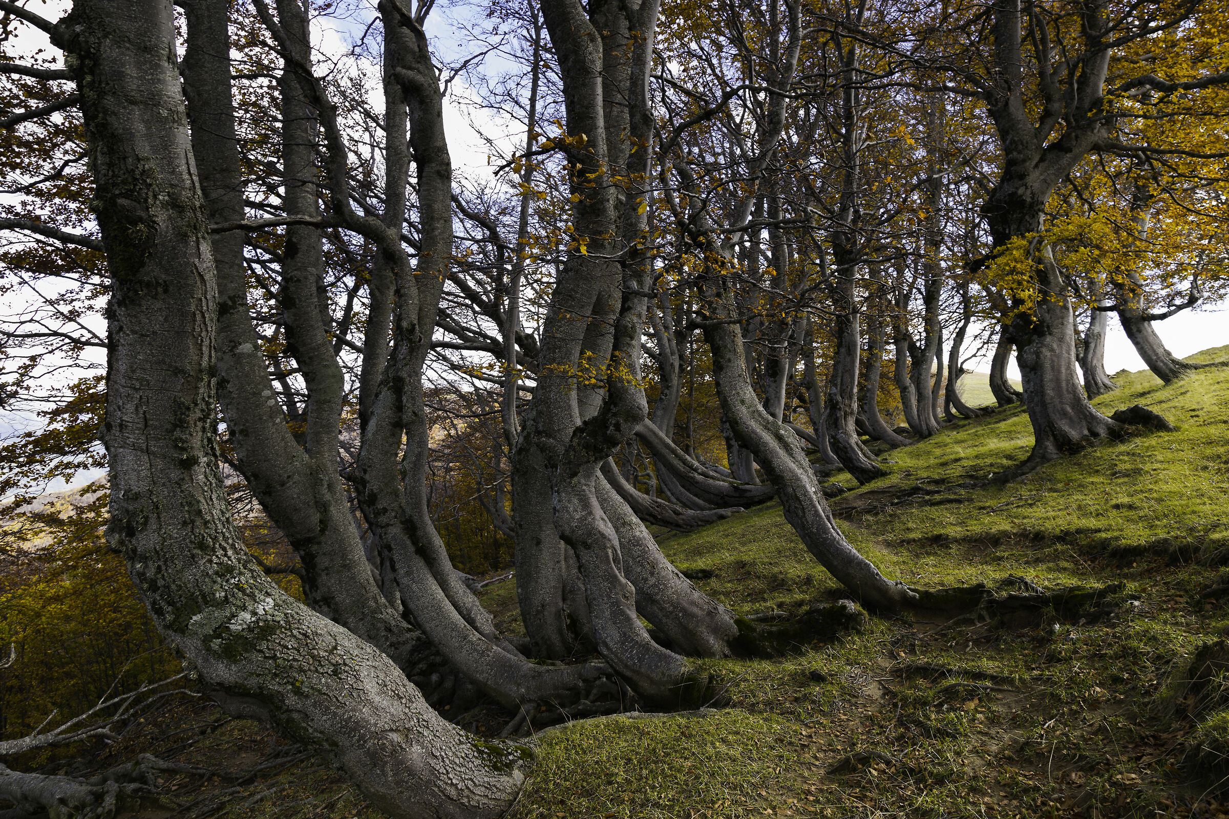 Mountains of the Laga The Faggi wrong the colors of autumn