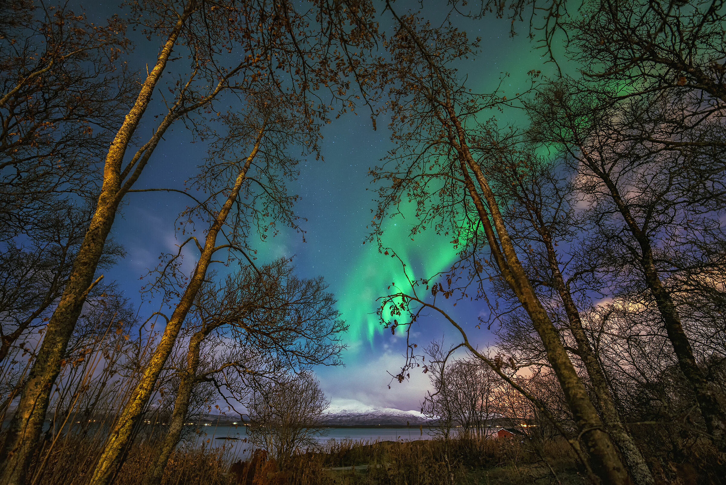 Aurora in Sydspissen