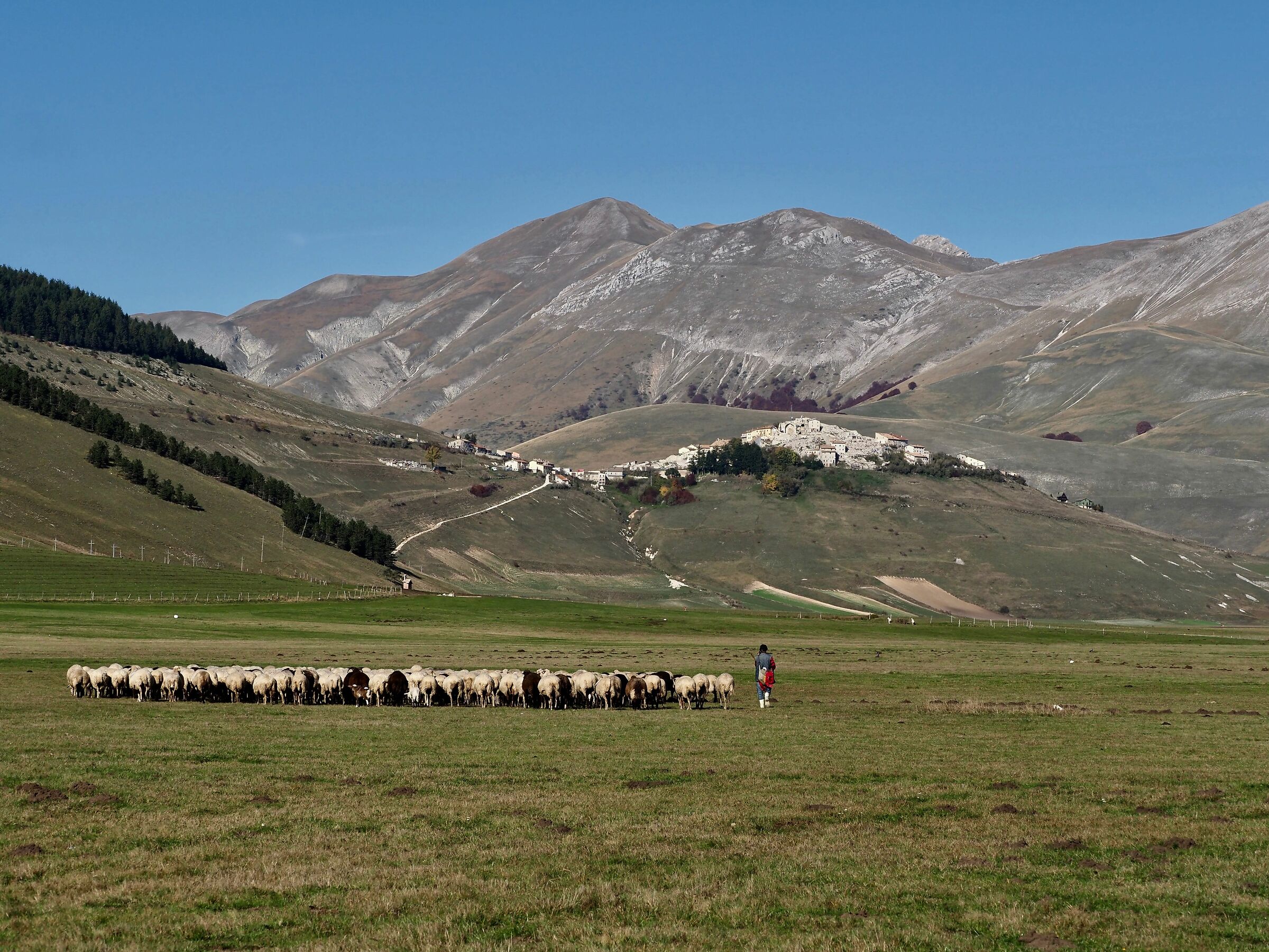 La vita continua a Castelluccio di Norcia