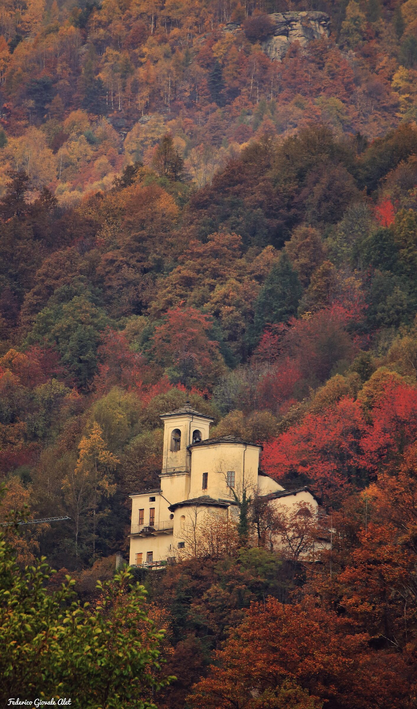 Foliage at St. James's Church
