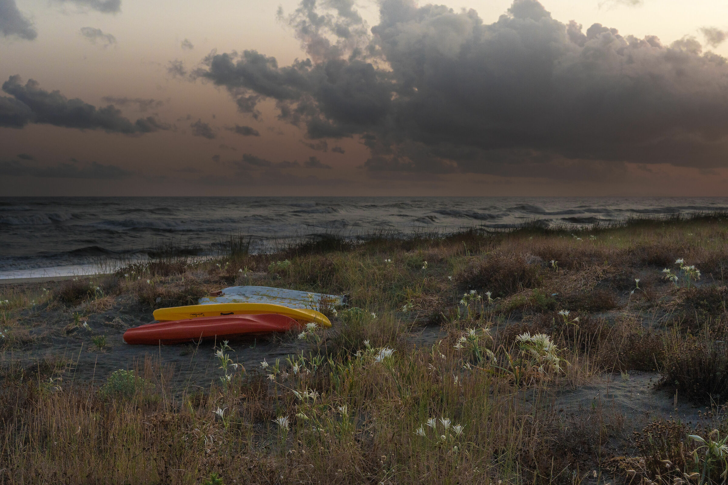 Canoes
