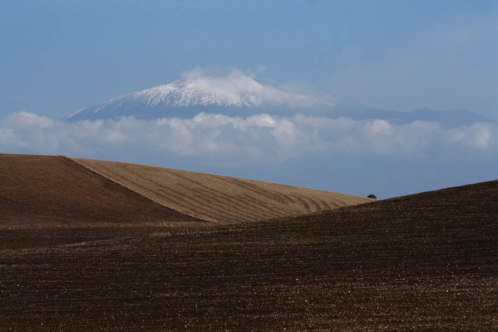 Siciliano Landscape