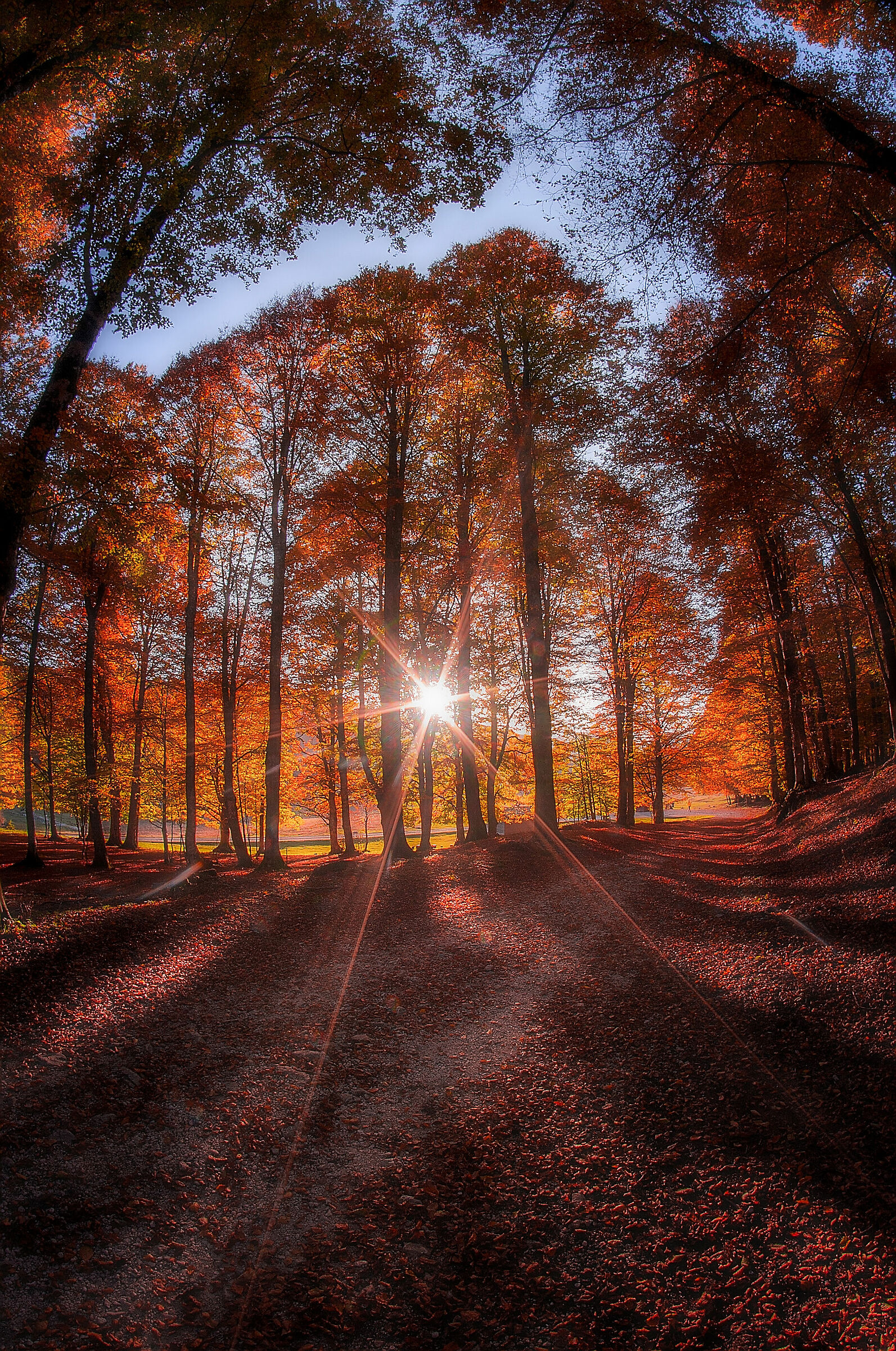 Il caldo sole di Ottobre