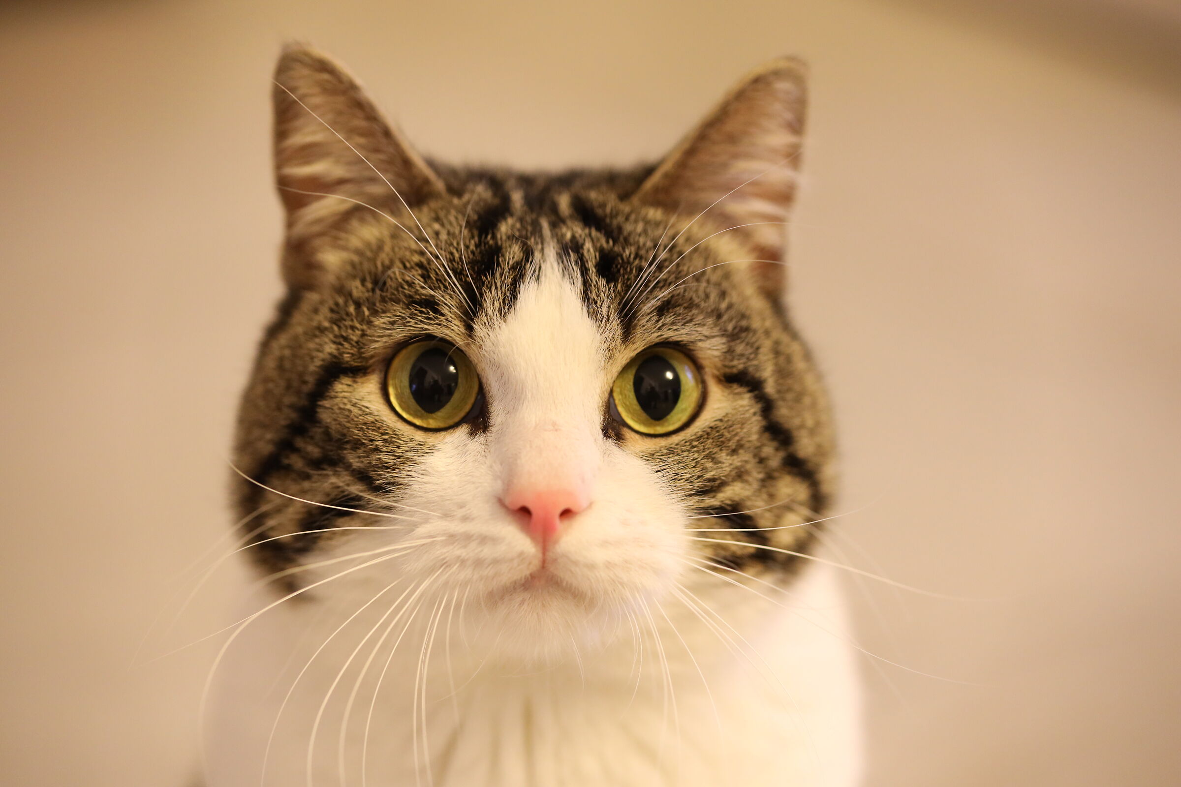 Quando si dice "doti fotogeniche naturali"