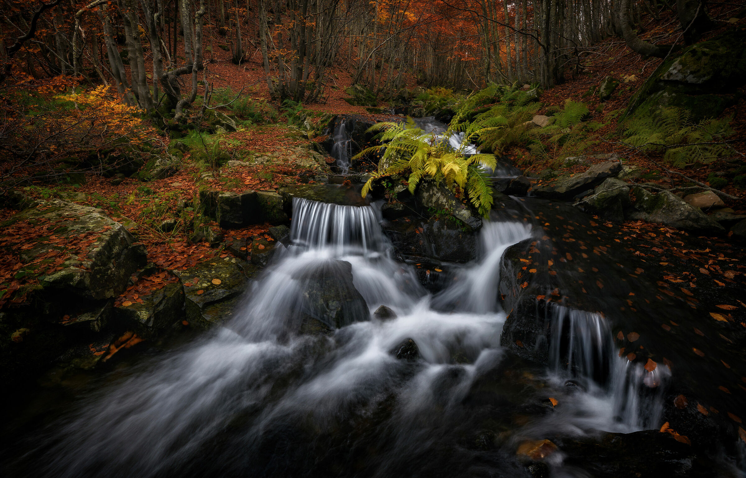 La danza dell'acqua.