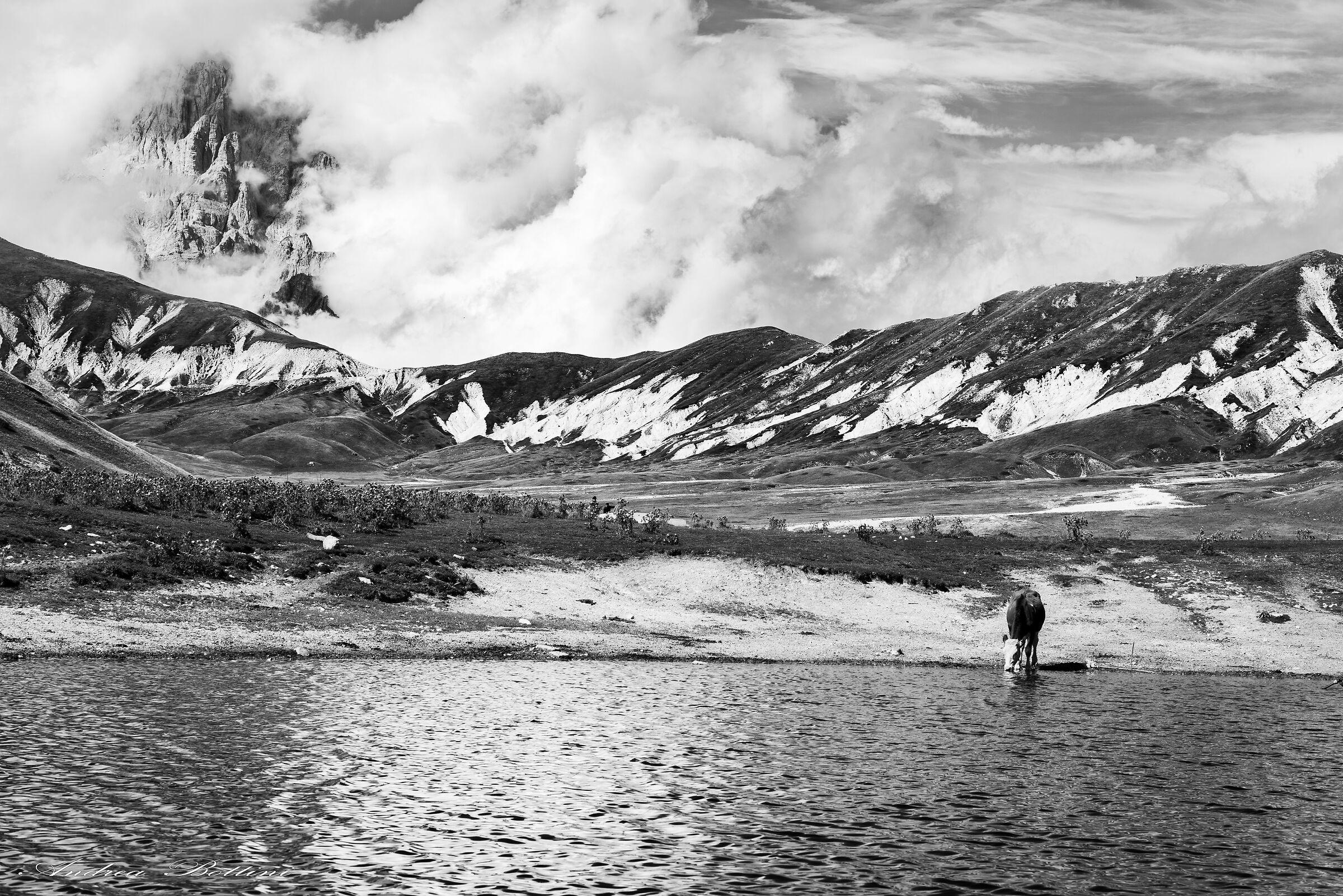Emperor's Field, Lake Stone