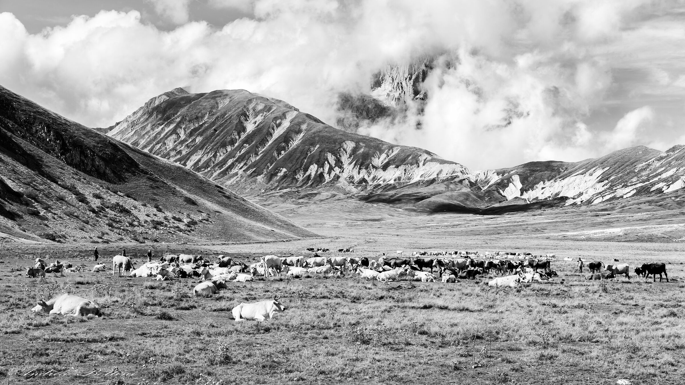 Emperor Abruzzo camp in black and white