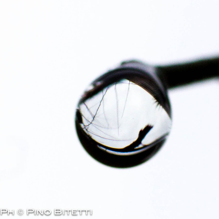 Droplet diameter of about 1 mm