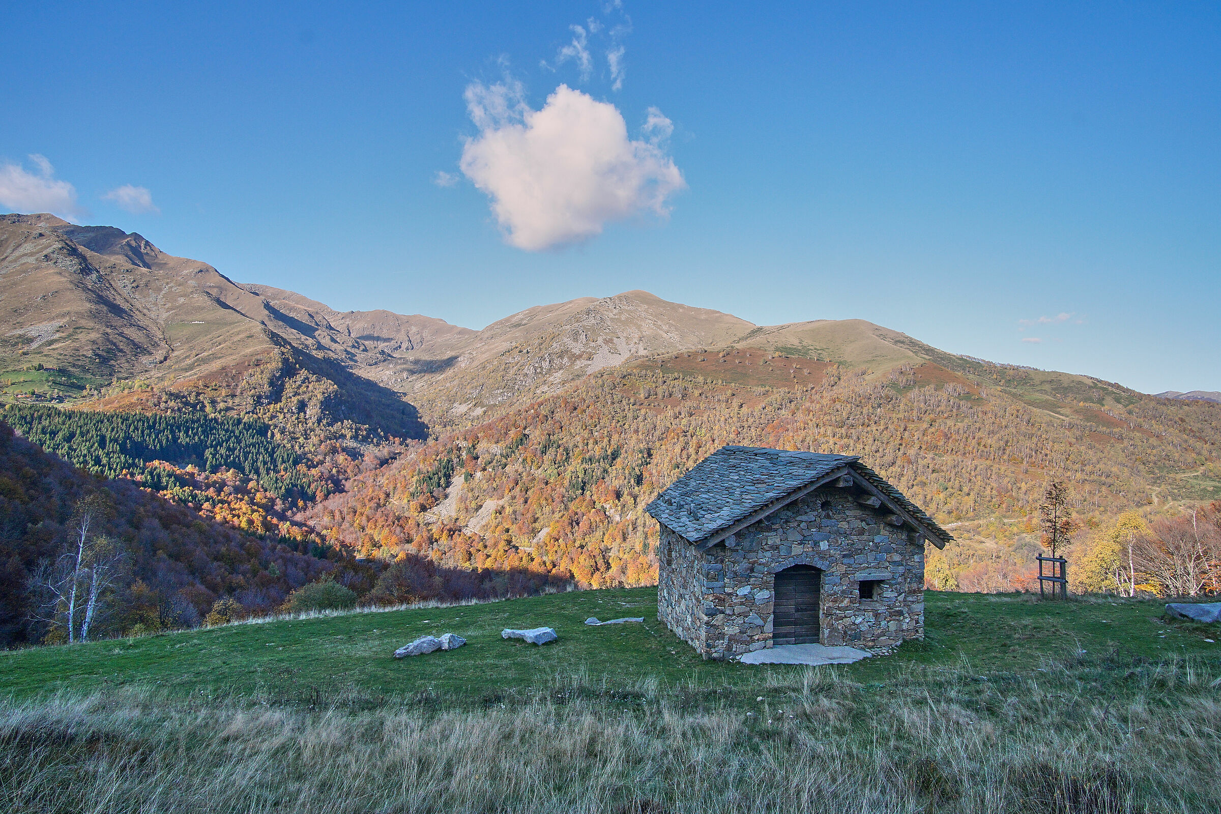 walking in the oases