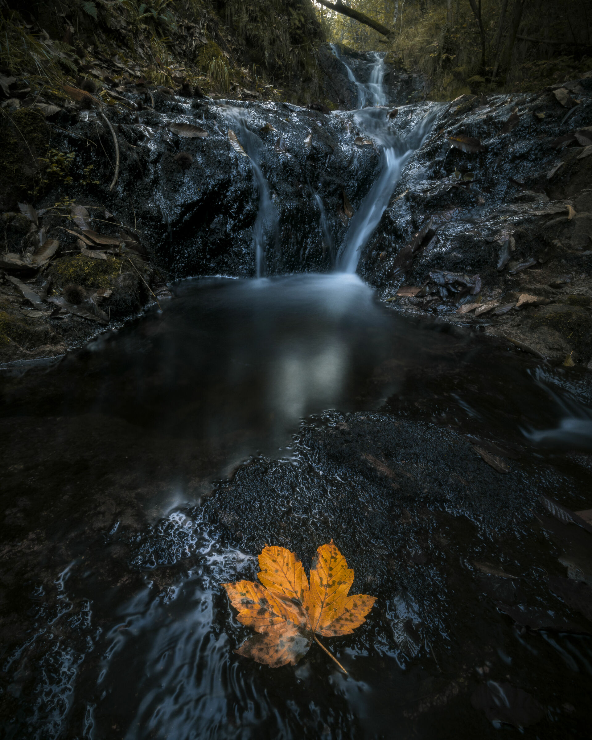 Autumn and its charm