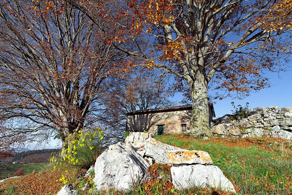 Autumn at 20 degrees - Malga belfiore Lessinia