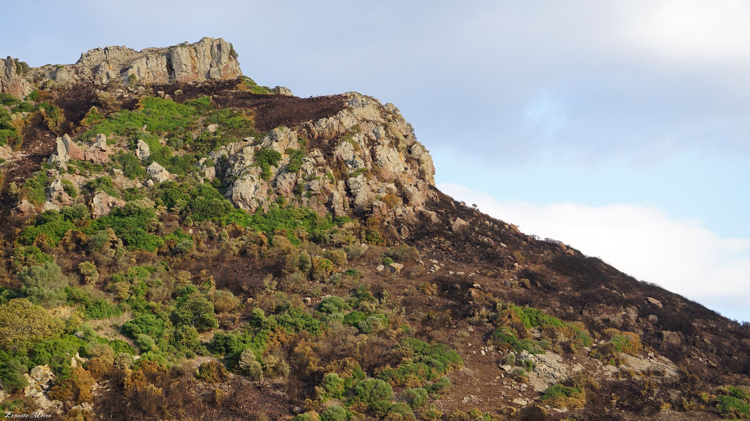 My Heart has been broken