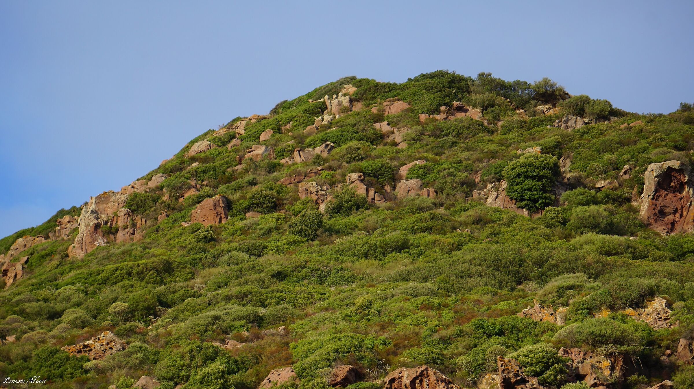 Mountain of Green and Rock Expression