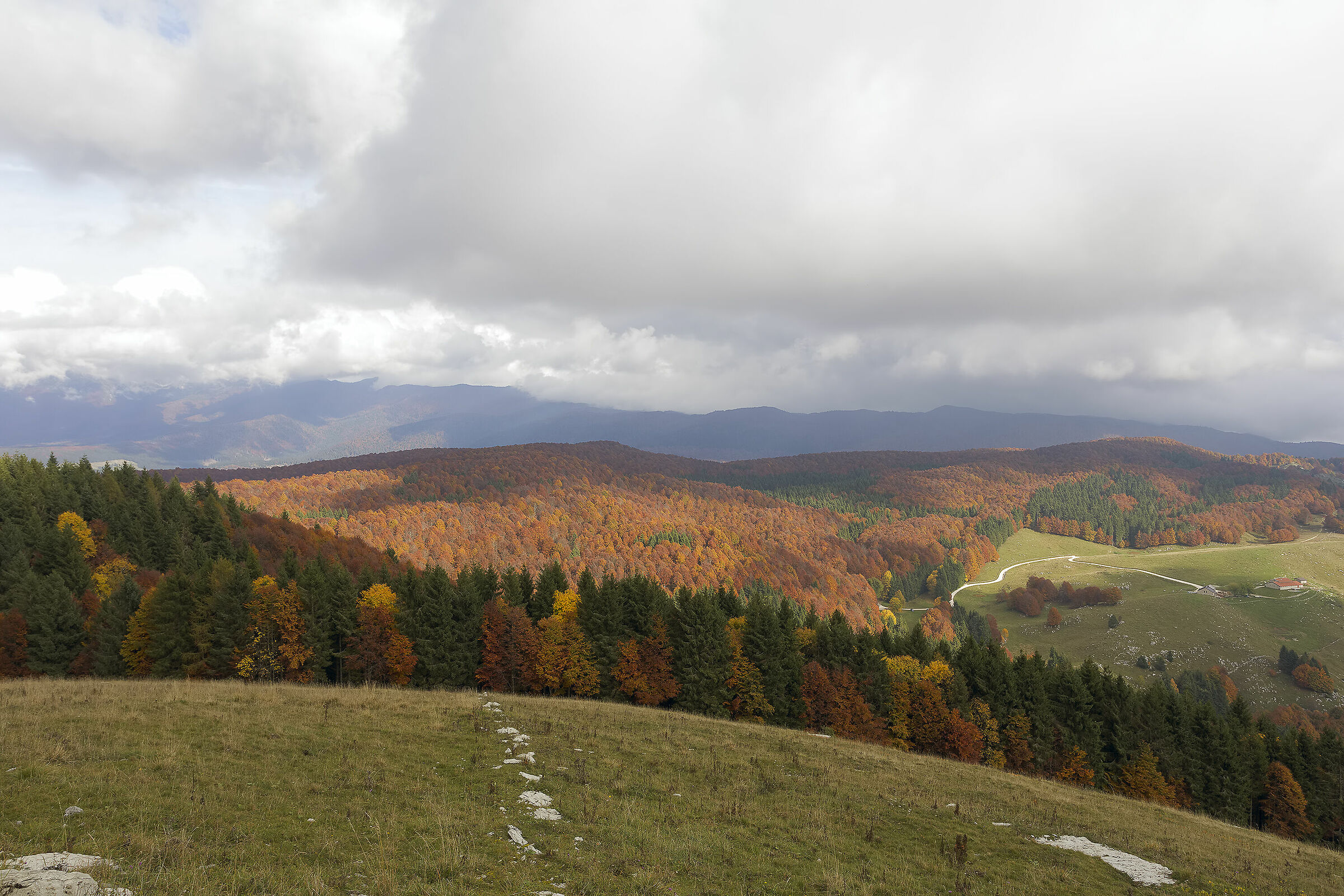 colori autunnali ...