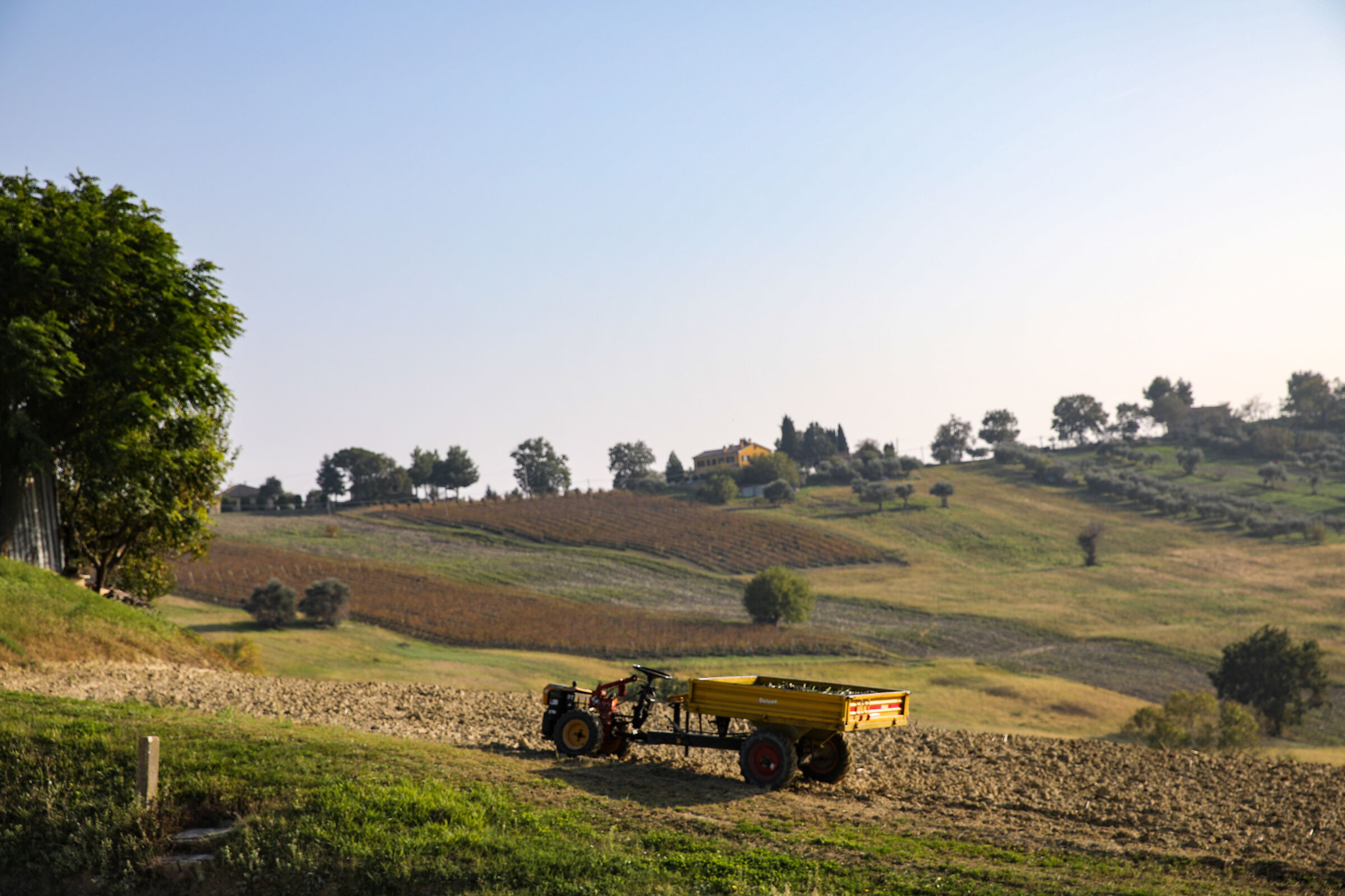 Morro d'Alba Campaign (AN)