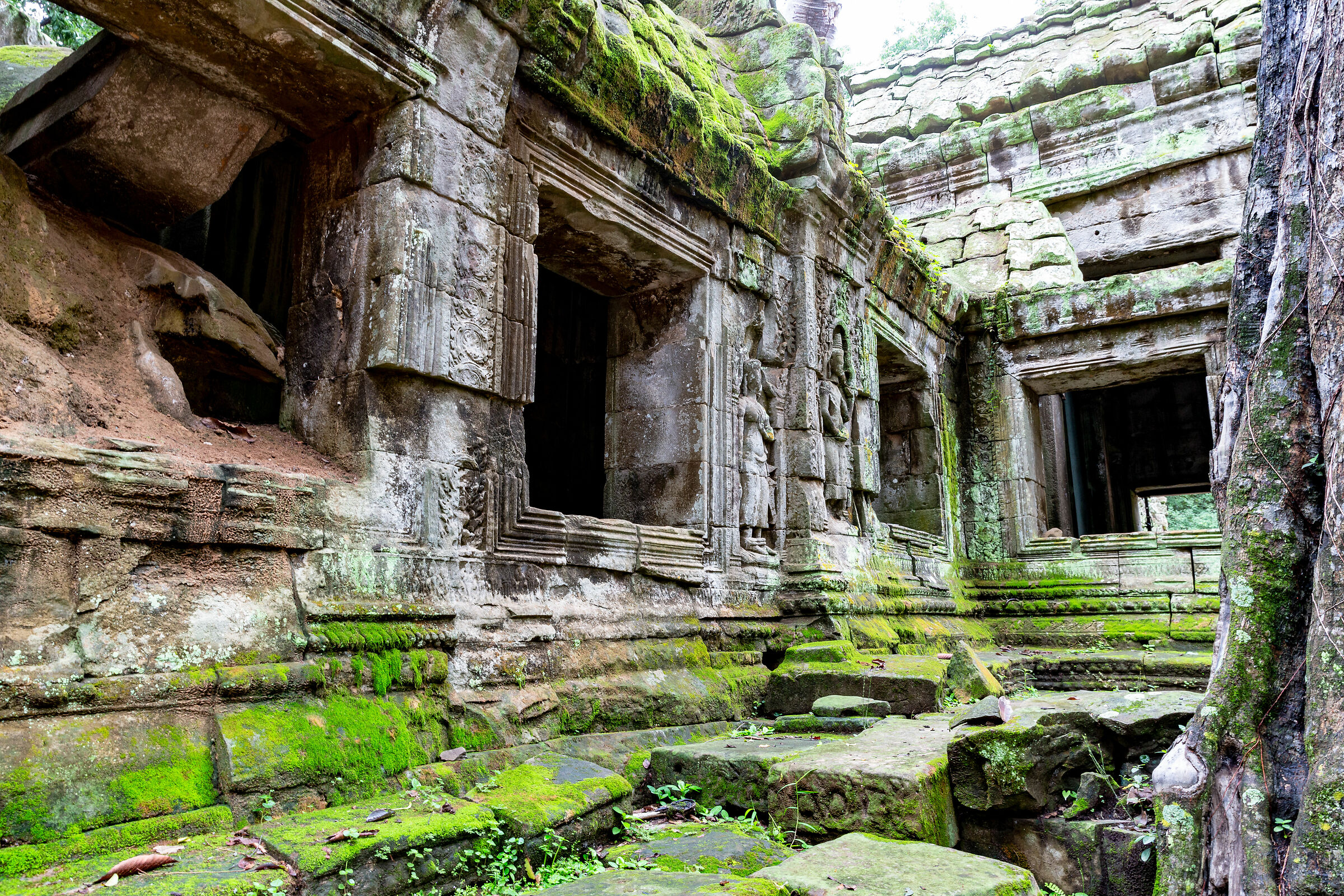 Inside Ta Prohm