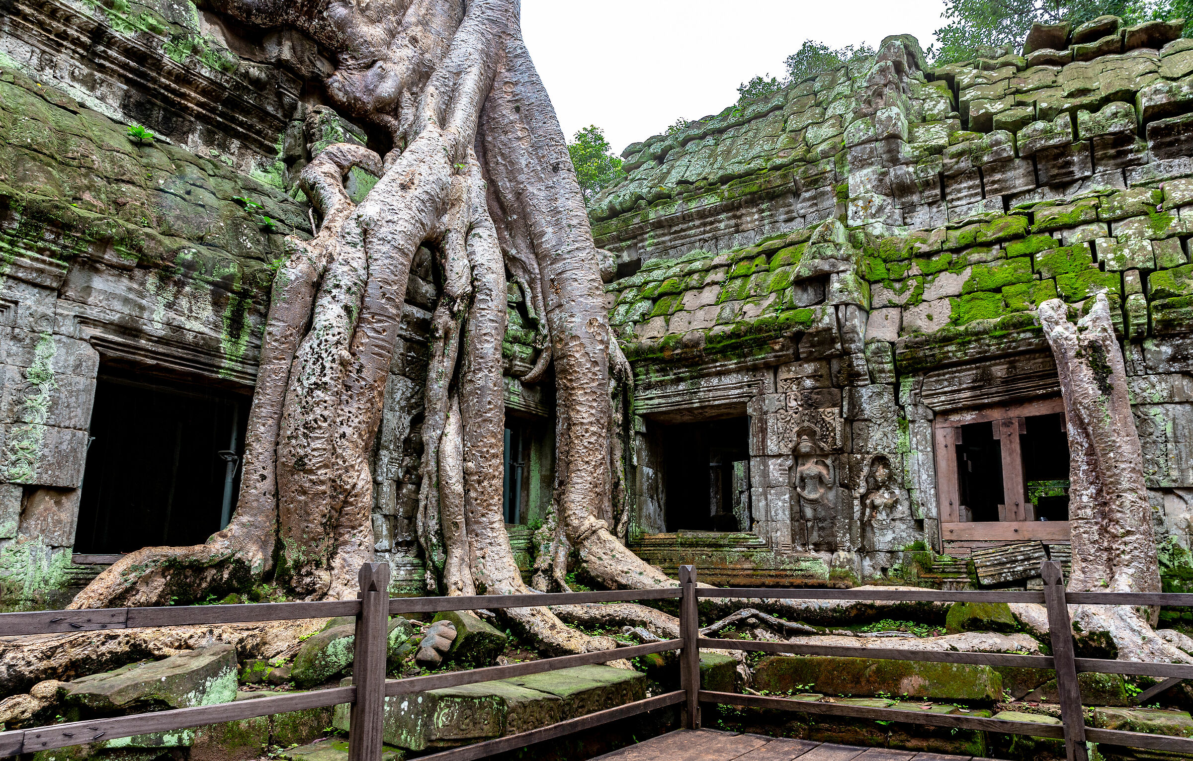 Maybe he's the most photographed