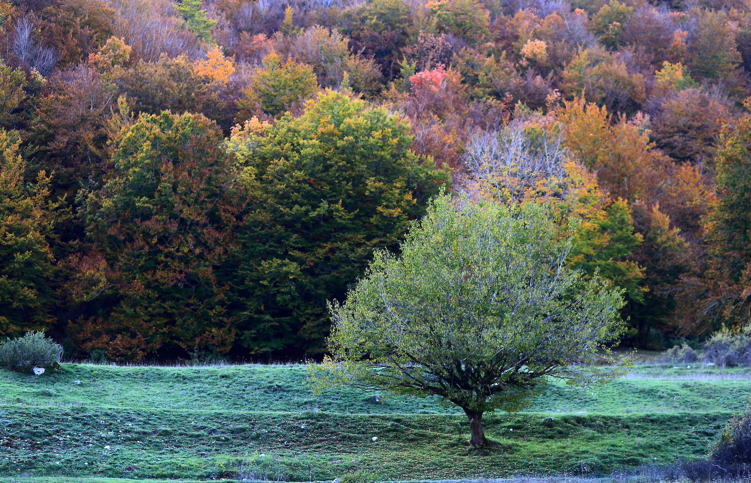 Val Fondillo 20 Ottobre 2019