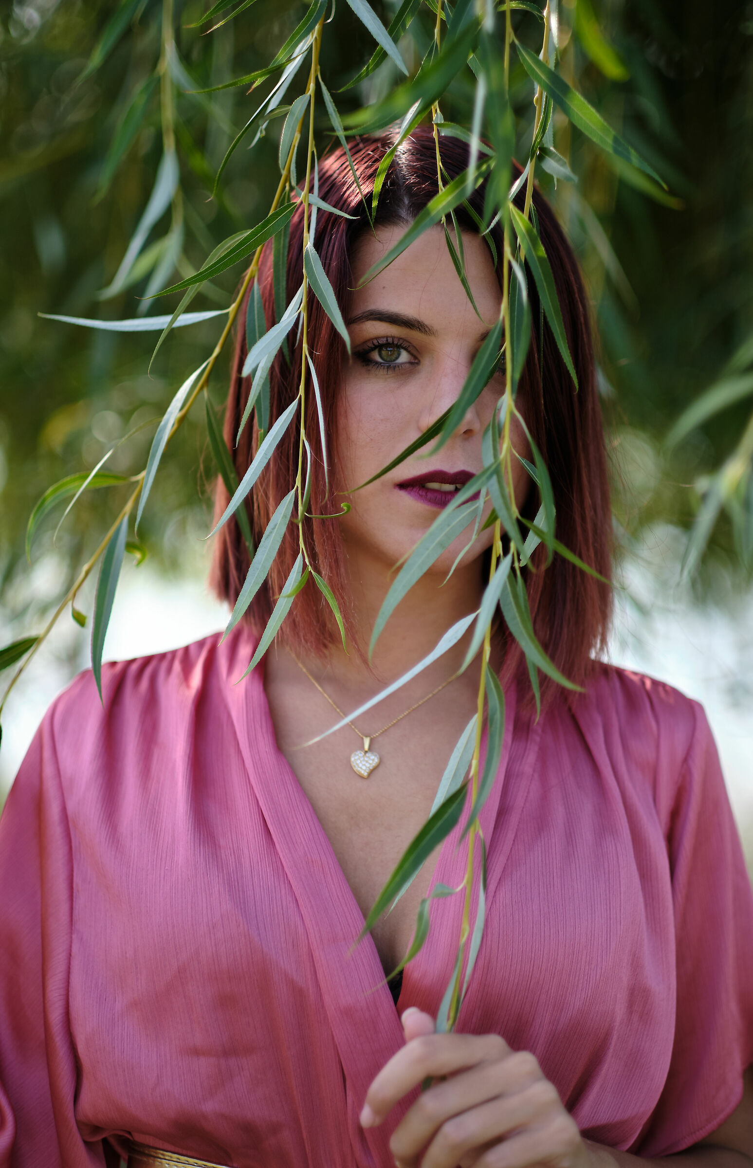 Looks in the willows