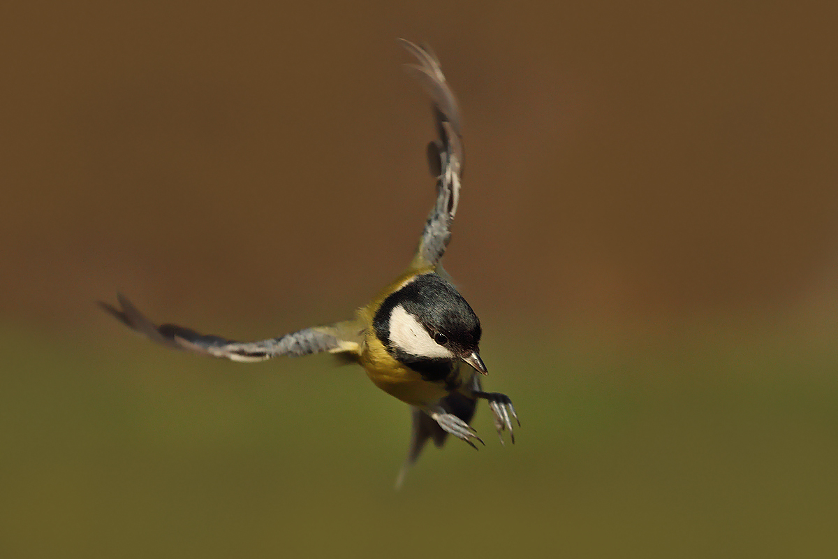 Breaking through the wall of fire .......